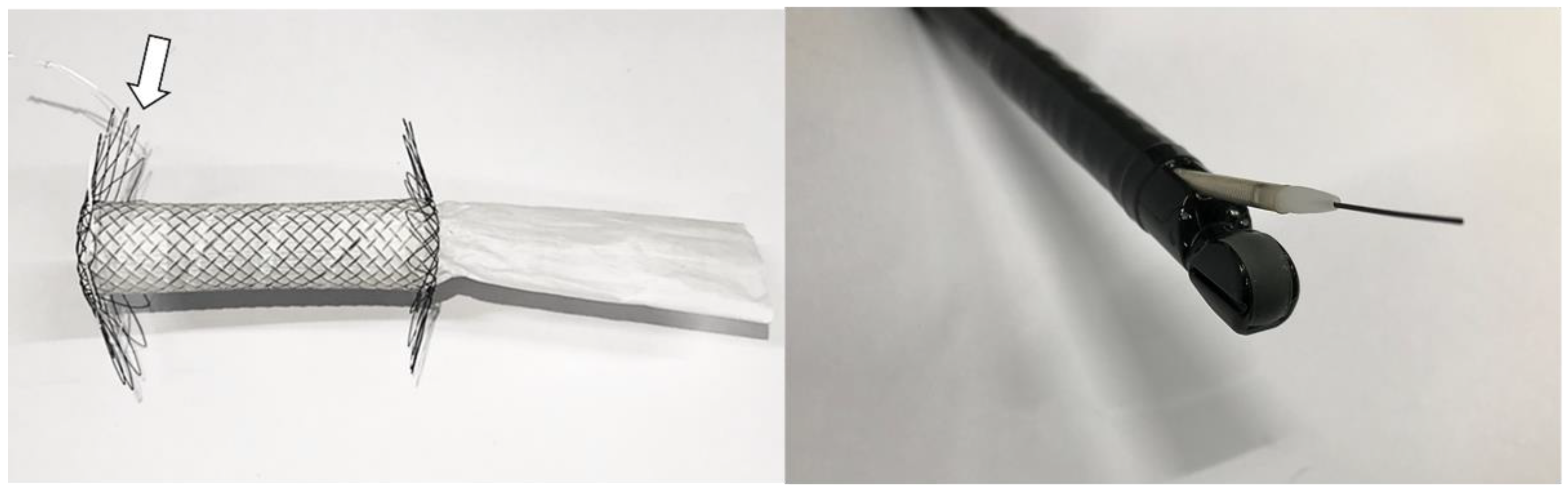 Nutrients 14 02563 g002 550