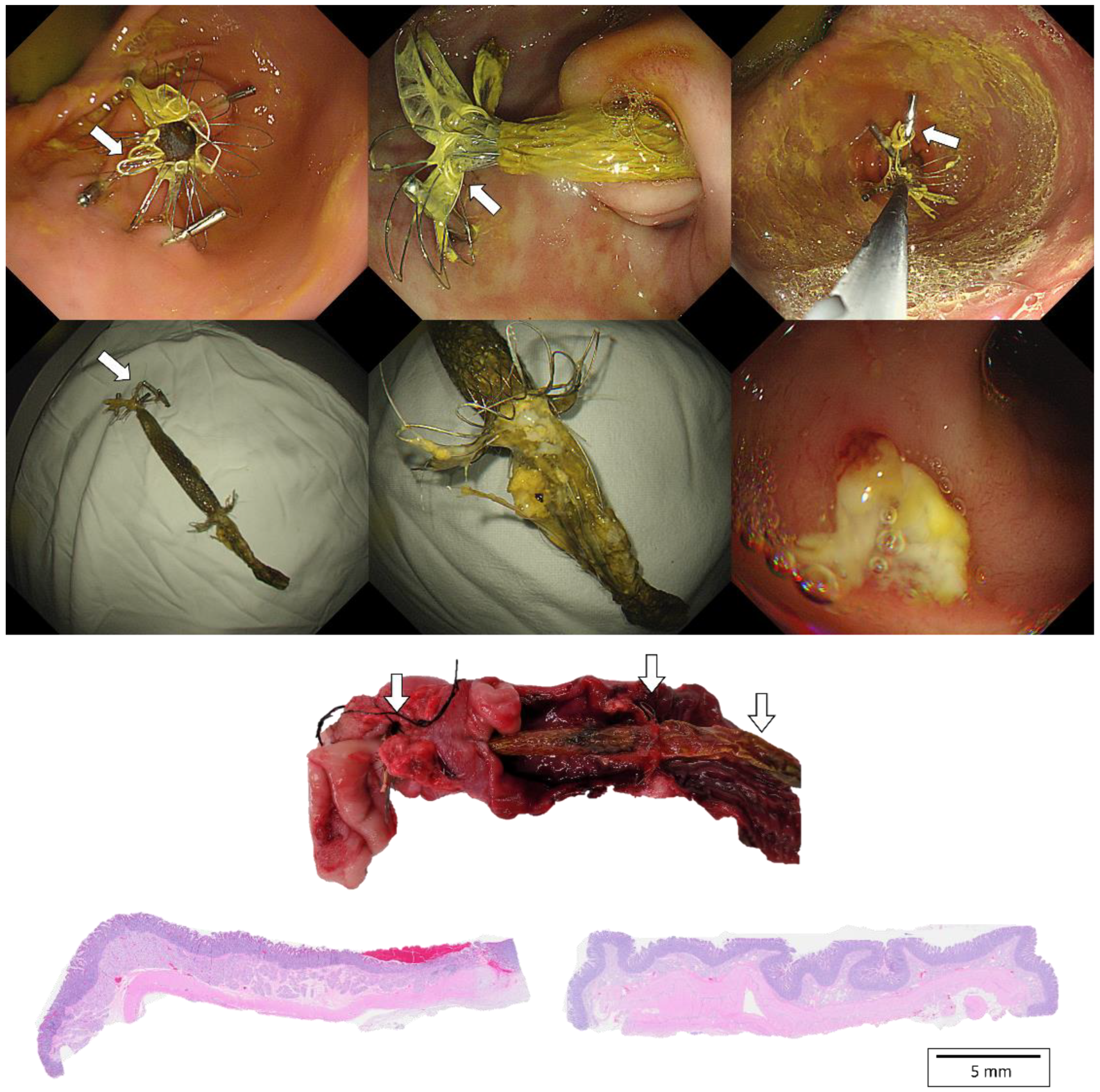 Nutrients 14 02563 g003 550