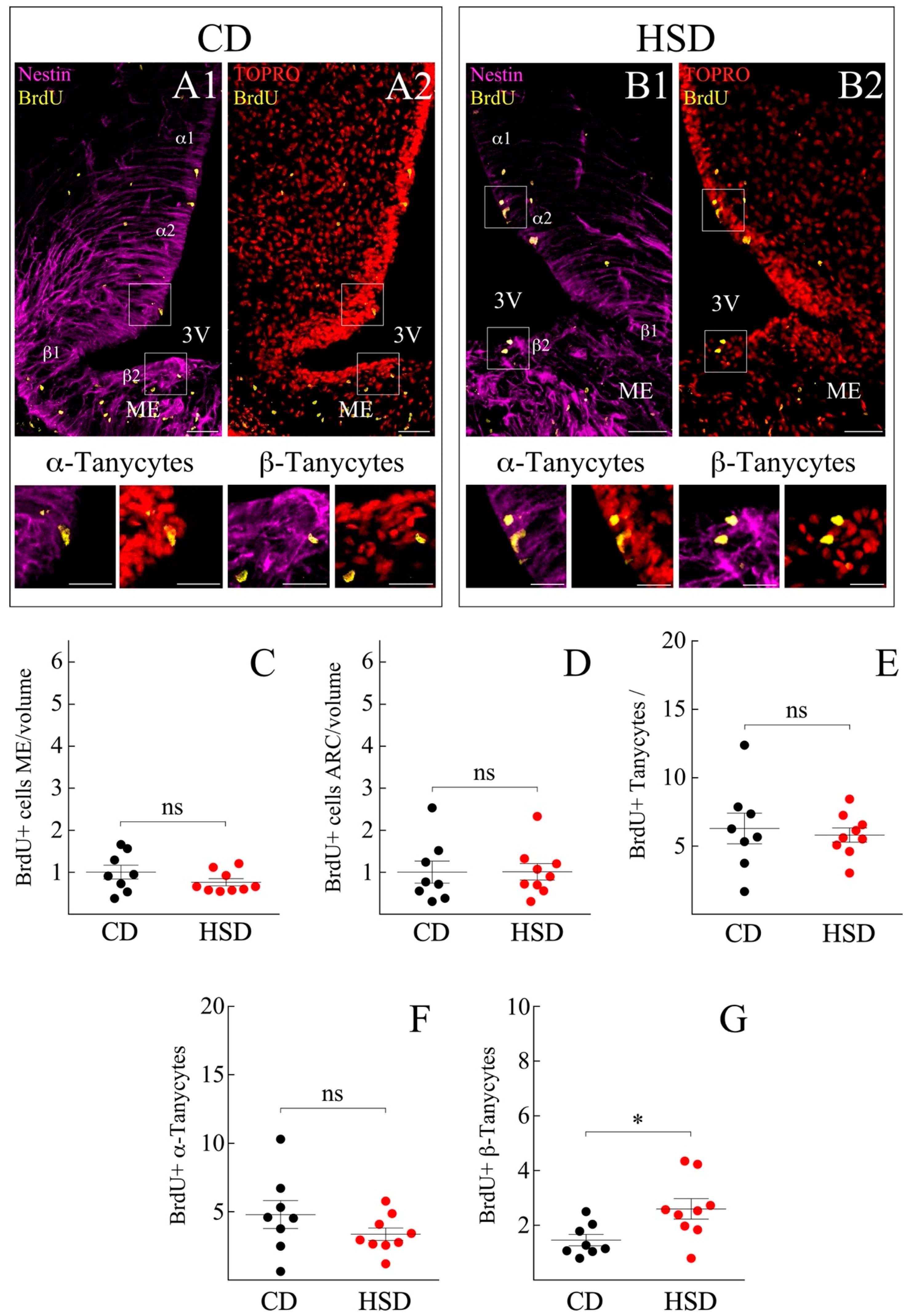 Nutrients 14 02564 g003
