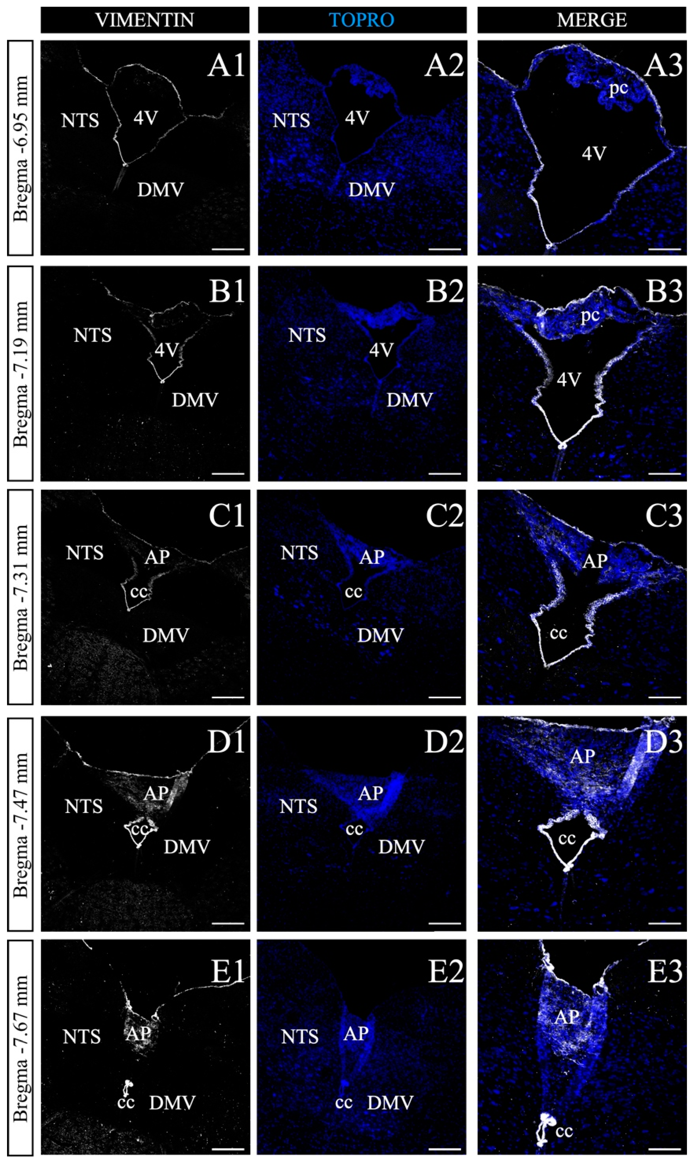 Nutrients 14 02564 g004