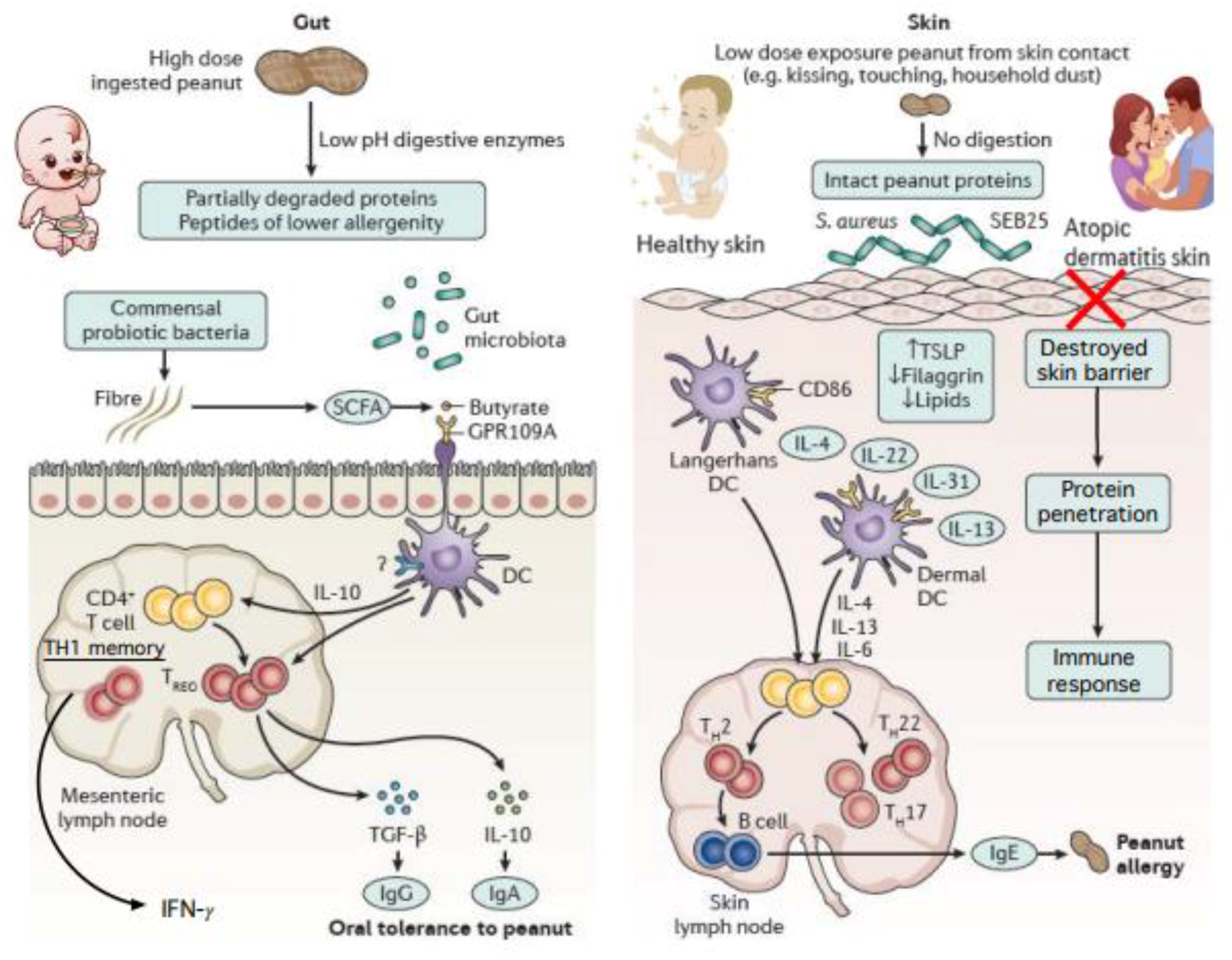 Nutrients 14 02565 g001 550