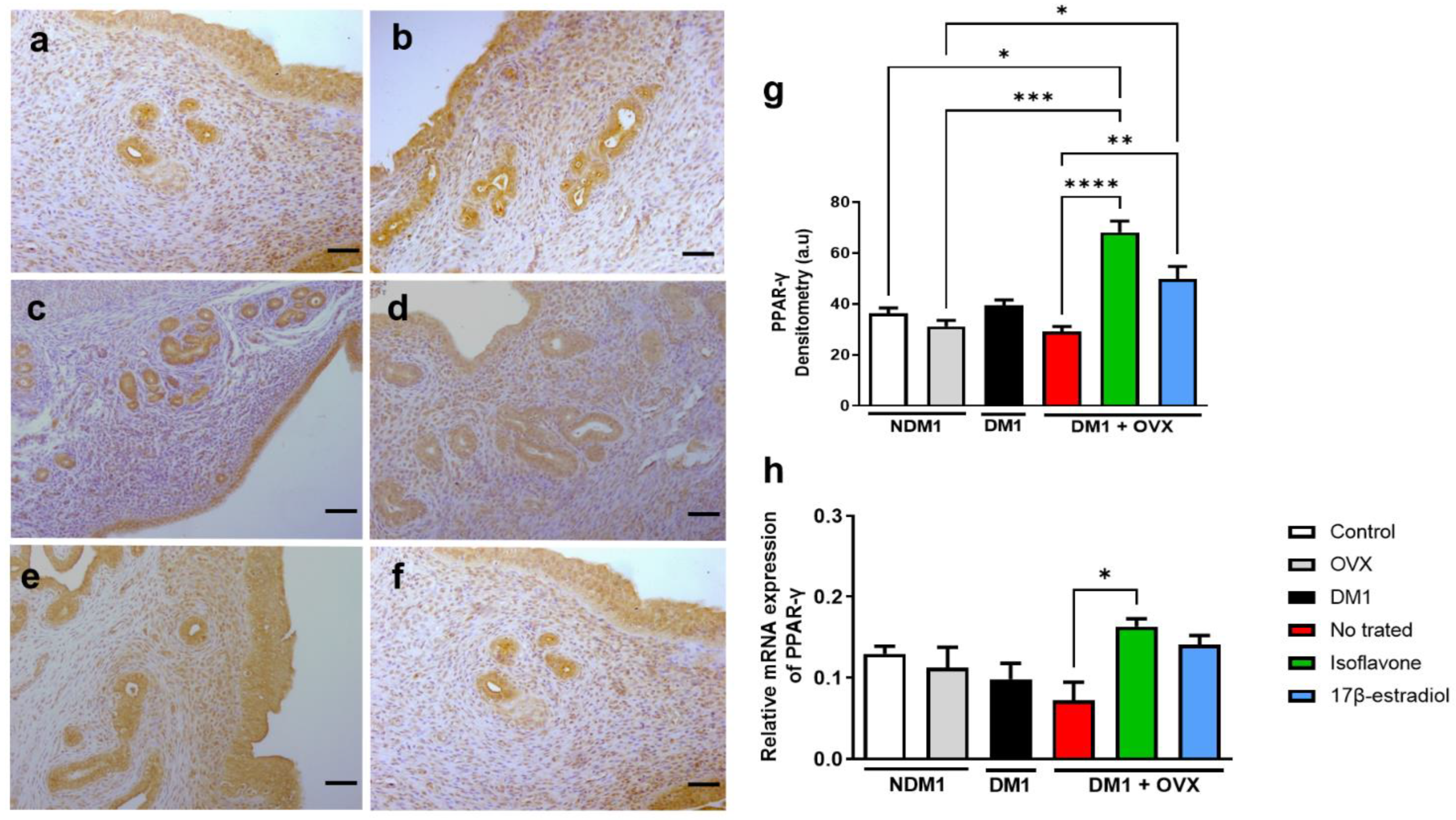 Nutrients 14 02567 g002 Nutrients 14 02567 g002