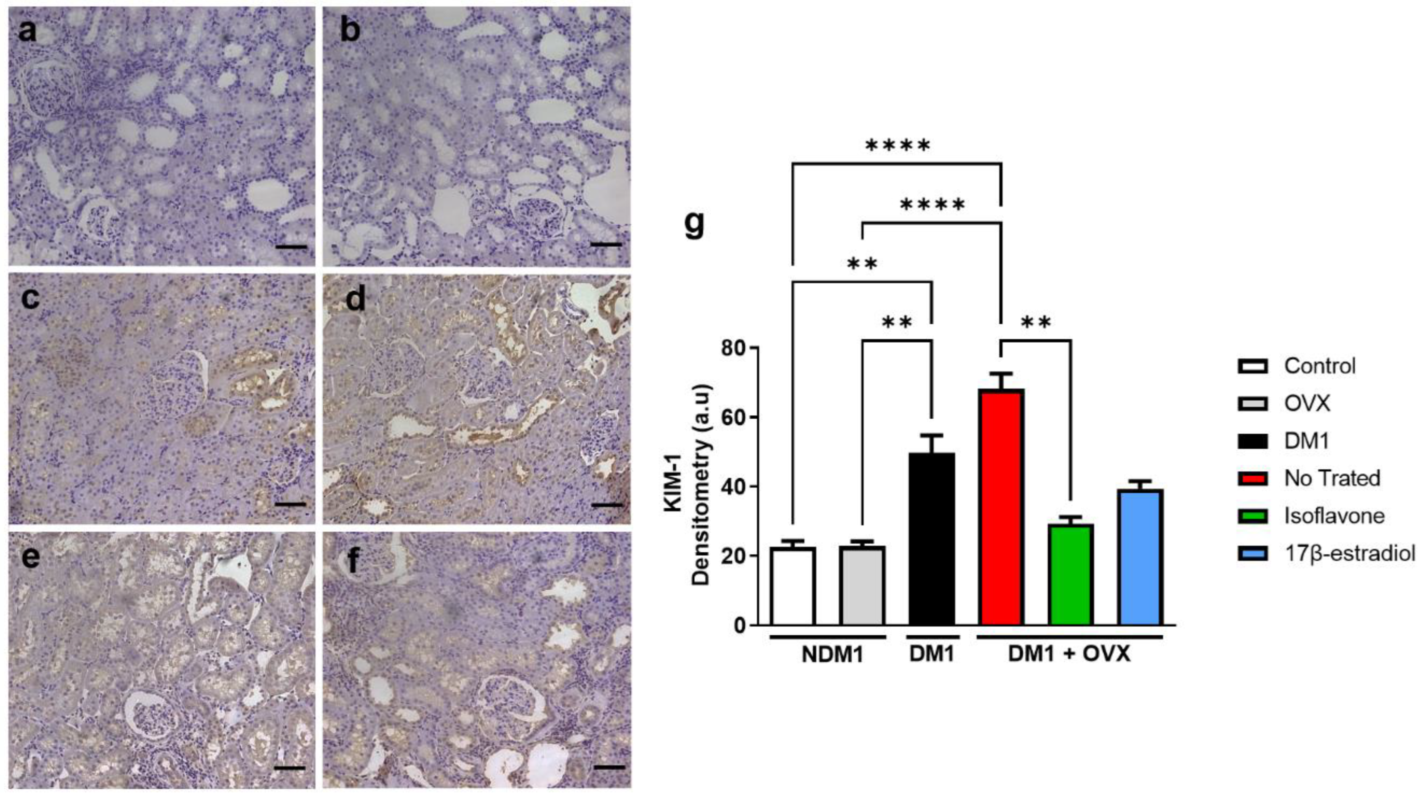 Nutrients 14 02567 g004 Nutrients 14 02567 g004
