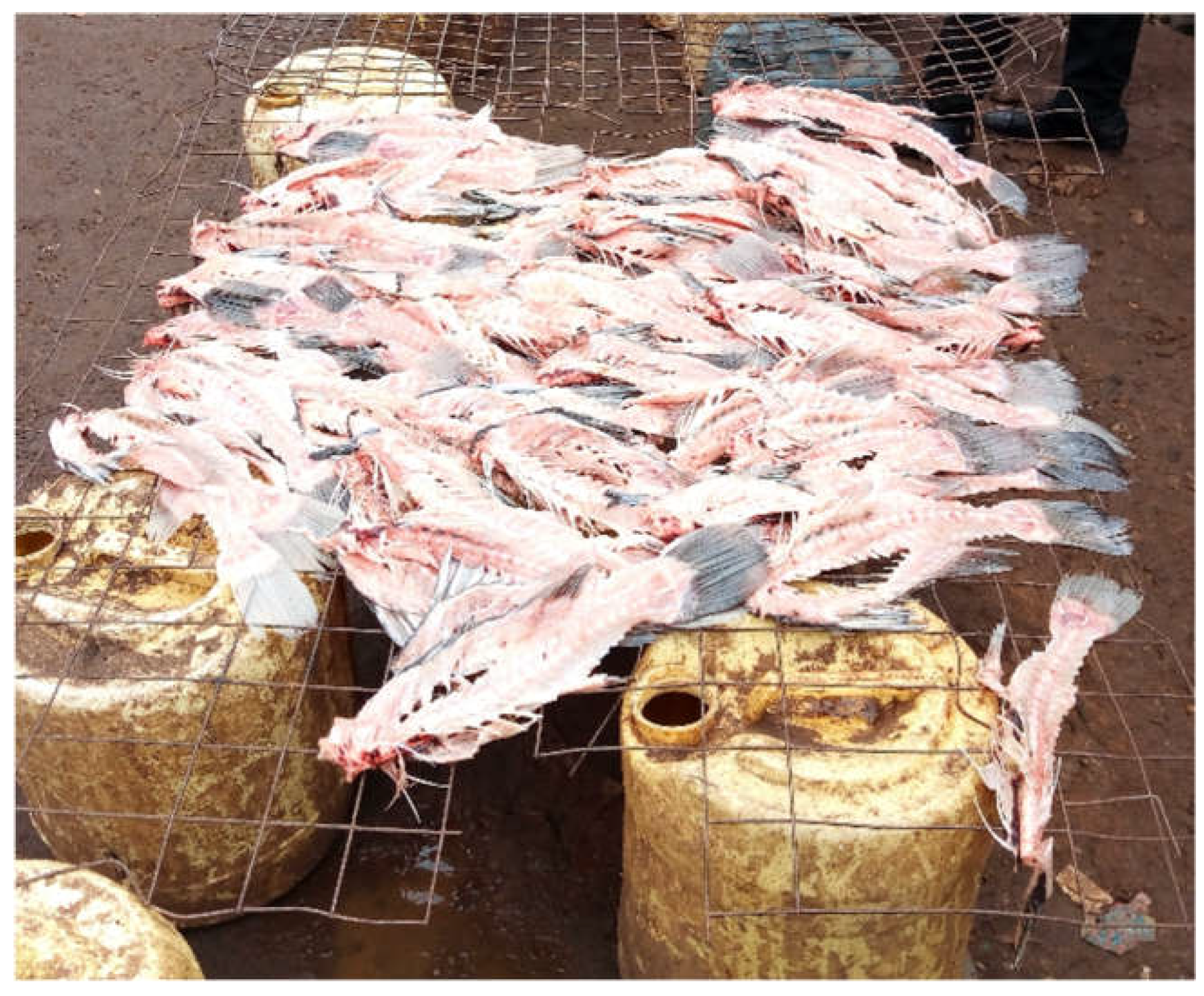 Nutrients 14 02571 g004 550