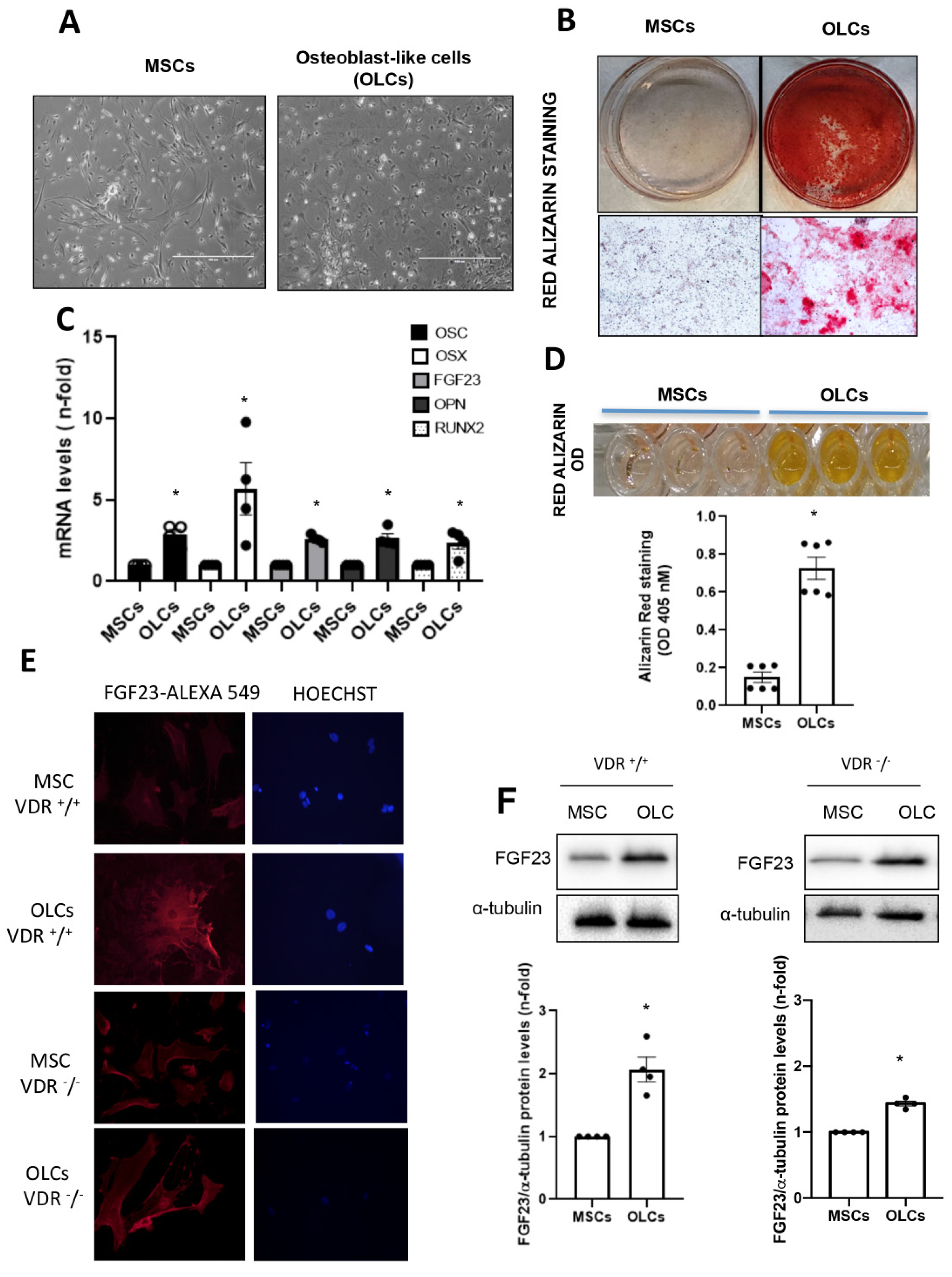 Nutrients 14 02576 g001 550