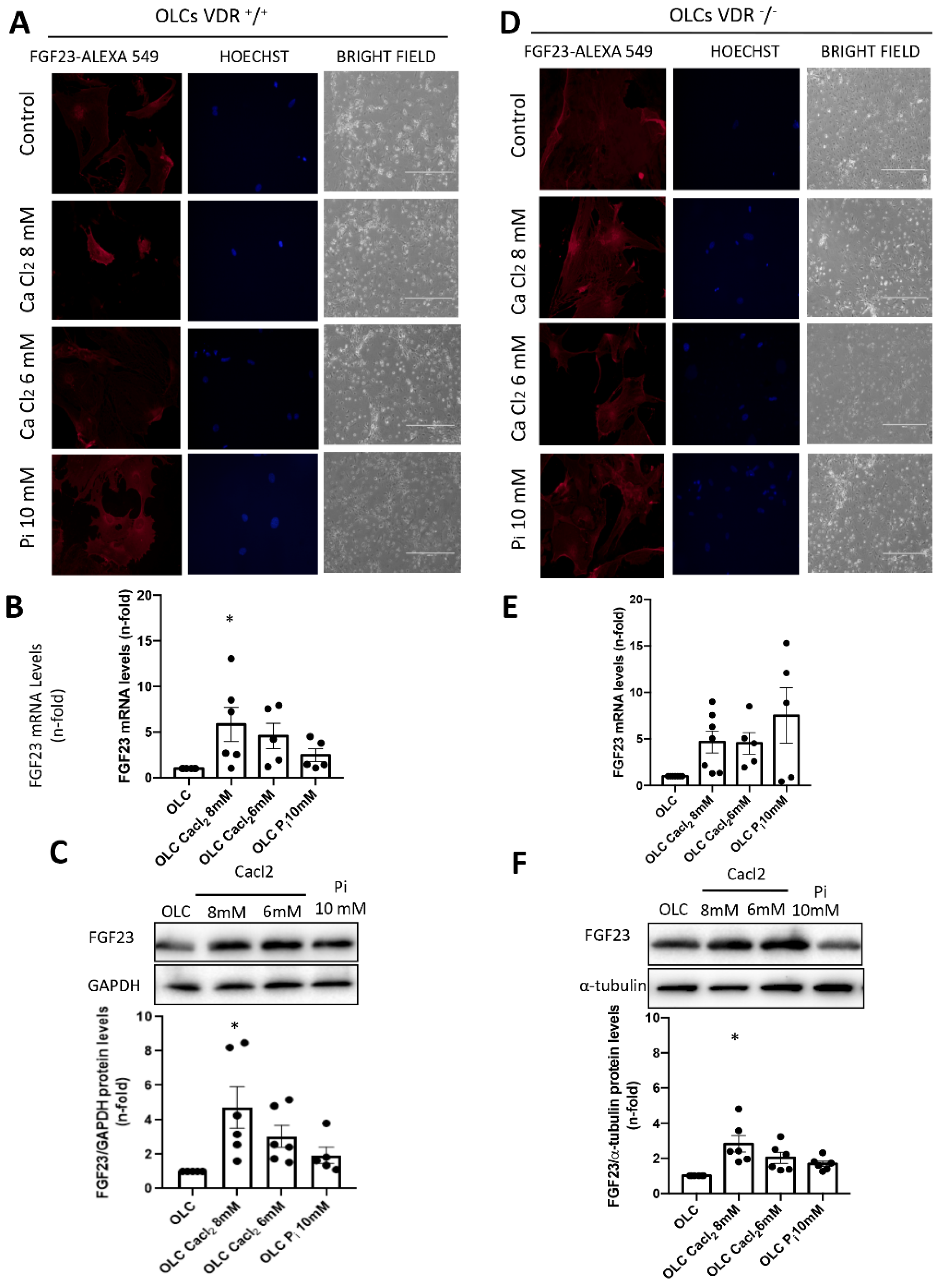 Nutrients 14 02576 g002 550