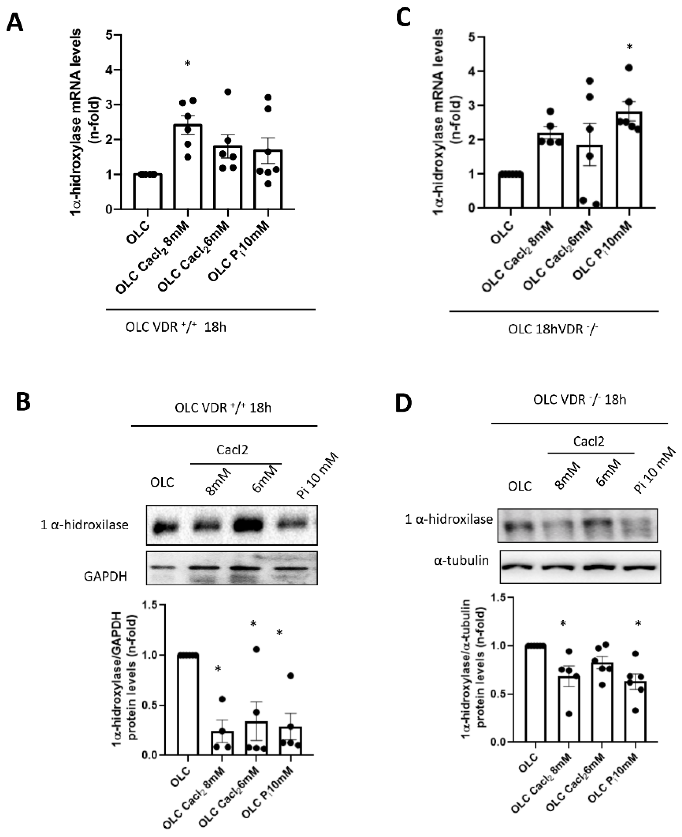 Nutrients 14 02576 g003 550