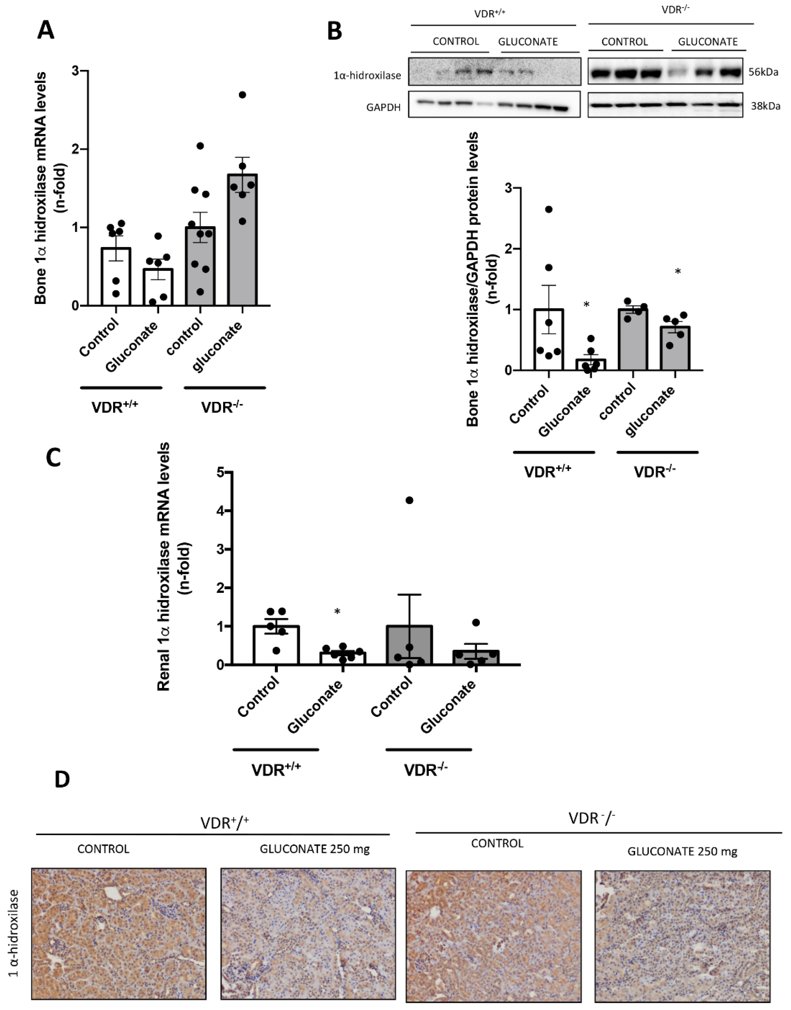 Nutrients 14 02576 g006 550