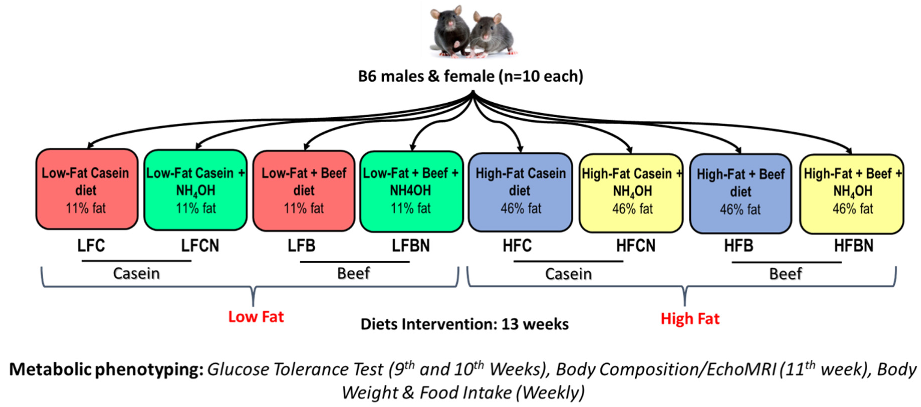 Nutrients 14 02583 g001