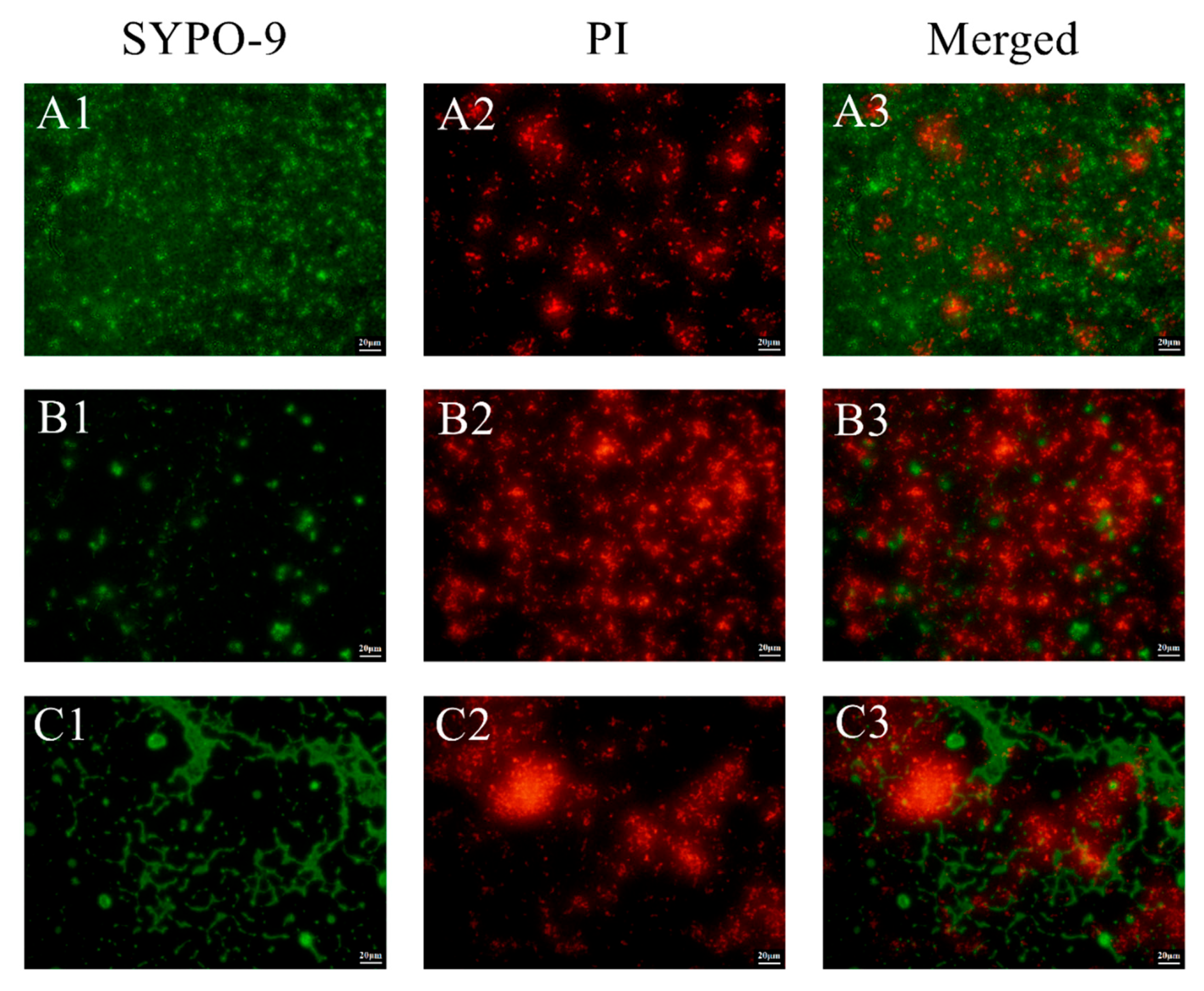 Nutrients 14 02584 g003 550