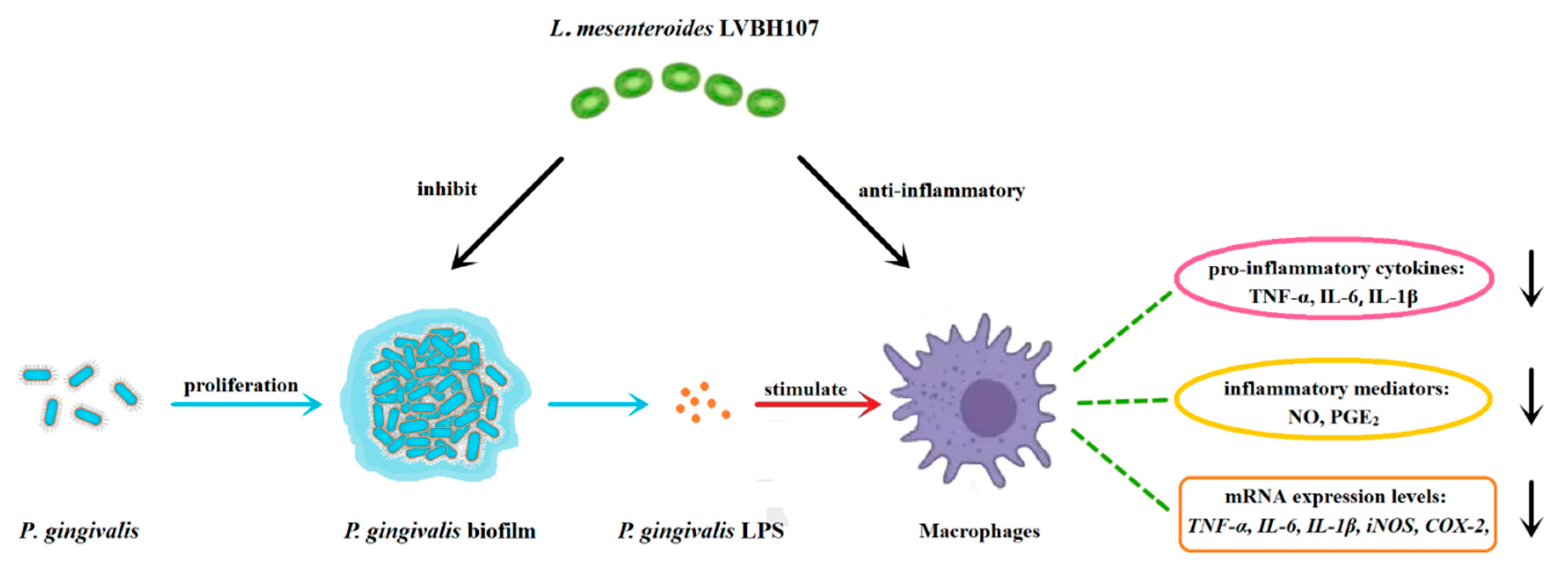 Nutrients 14 02584 g007 550