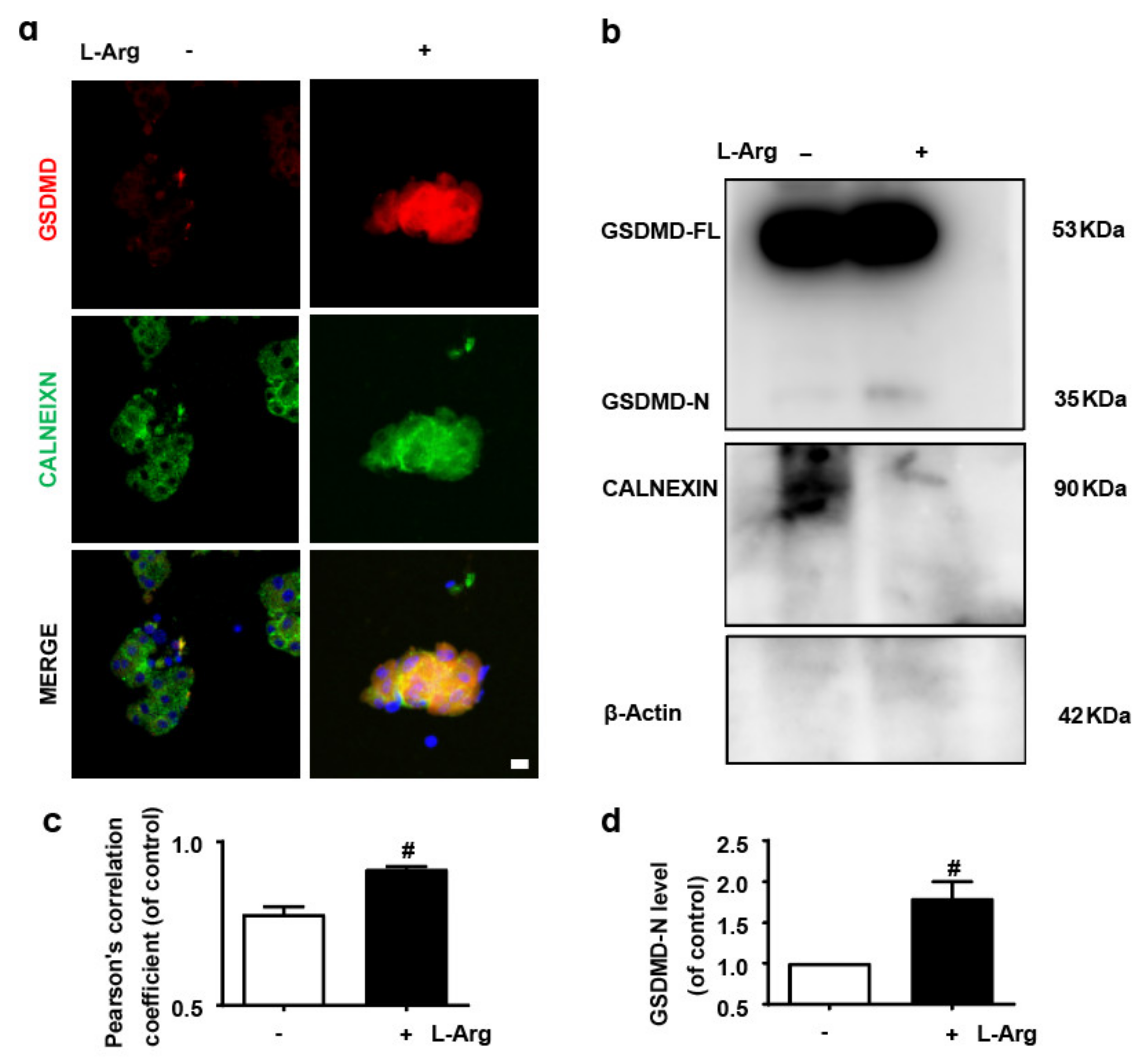 Nutrients 14 02591 g001