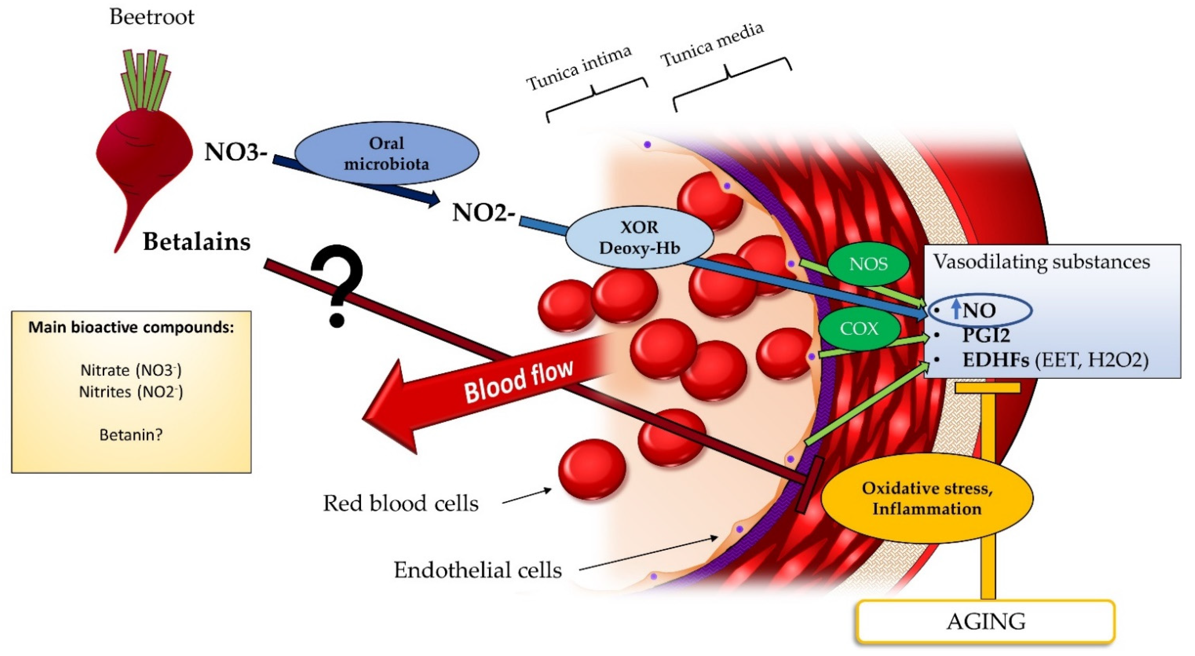 Nutrients 14 02615 g002