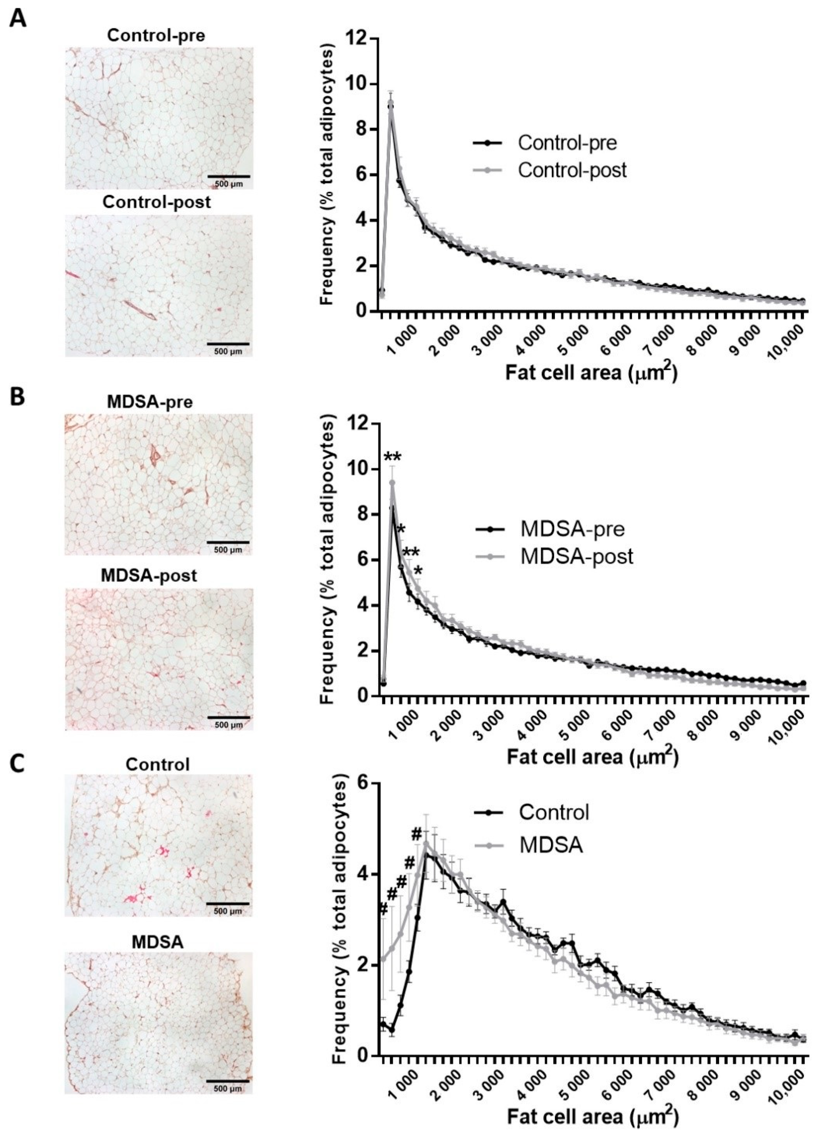 Nutrients 14 02617 g001