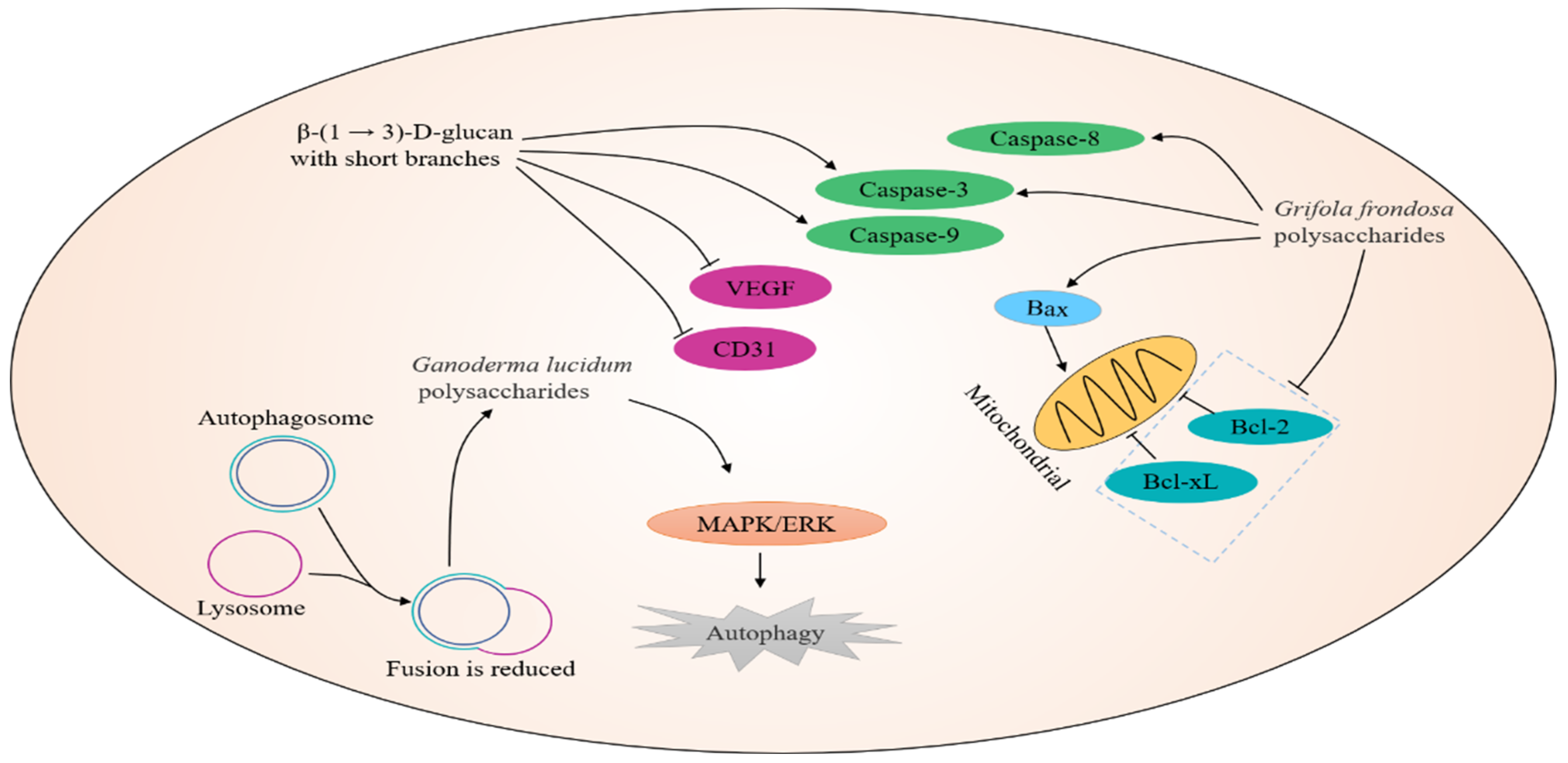 Nutrients 14 02622 g001 Nutrients 14 02622 g001