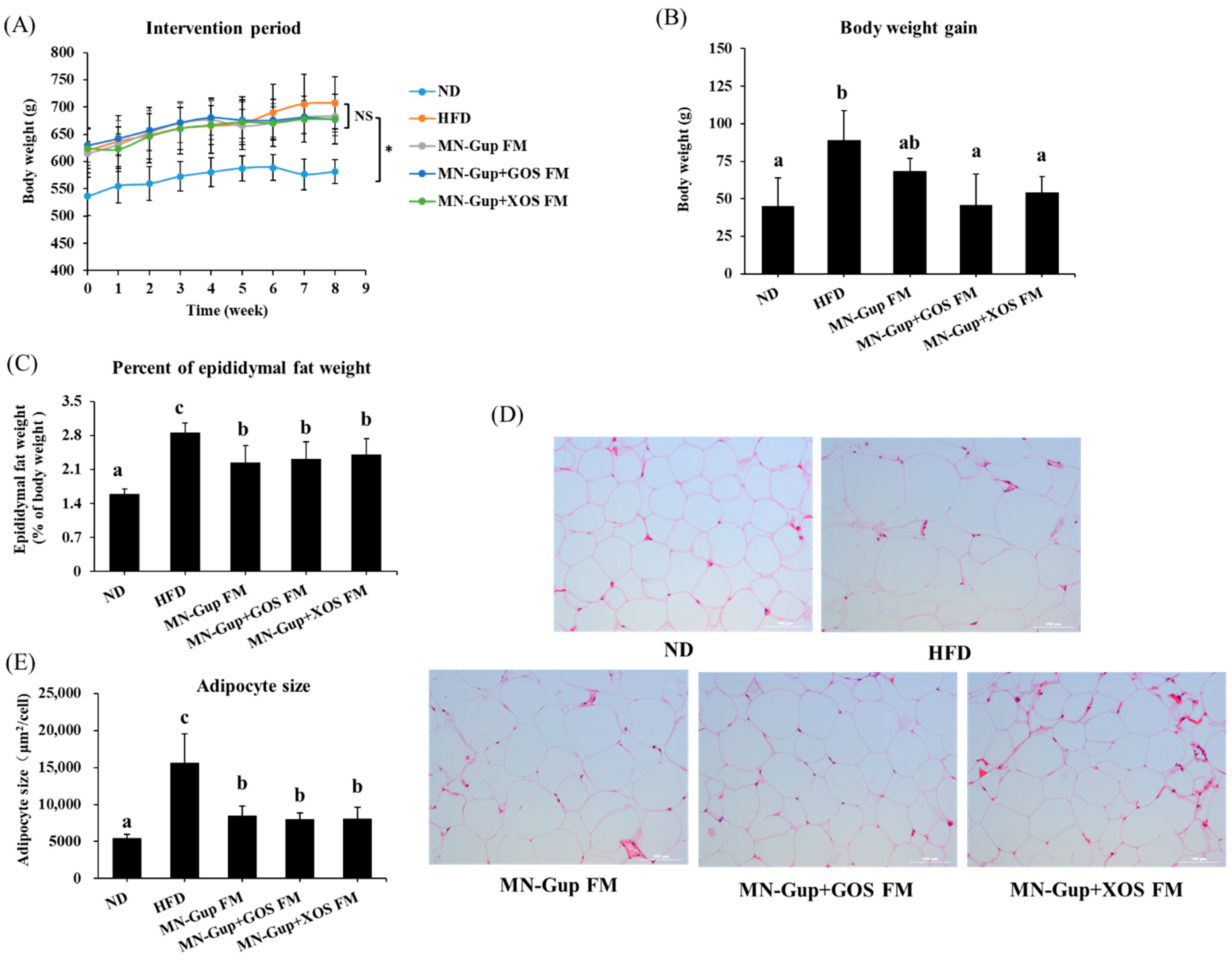 Nutrients 14 02631 g001 550