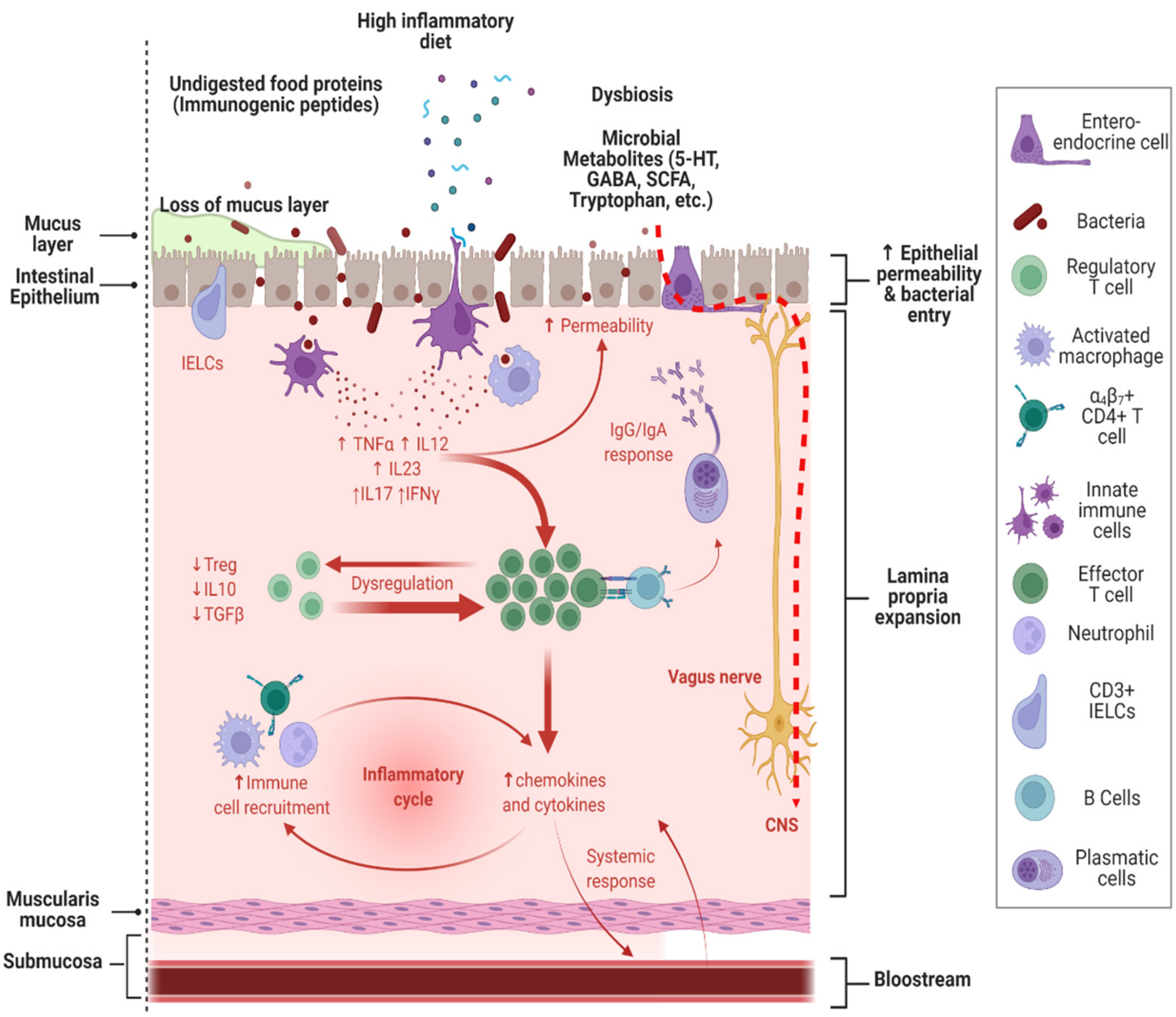 Nutrients 14 02660 g001