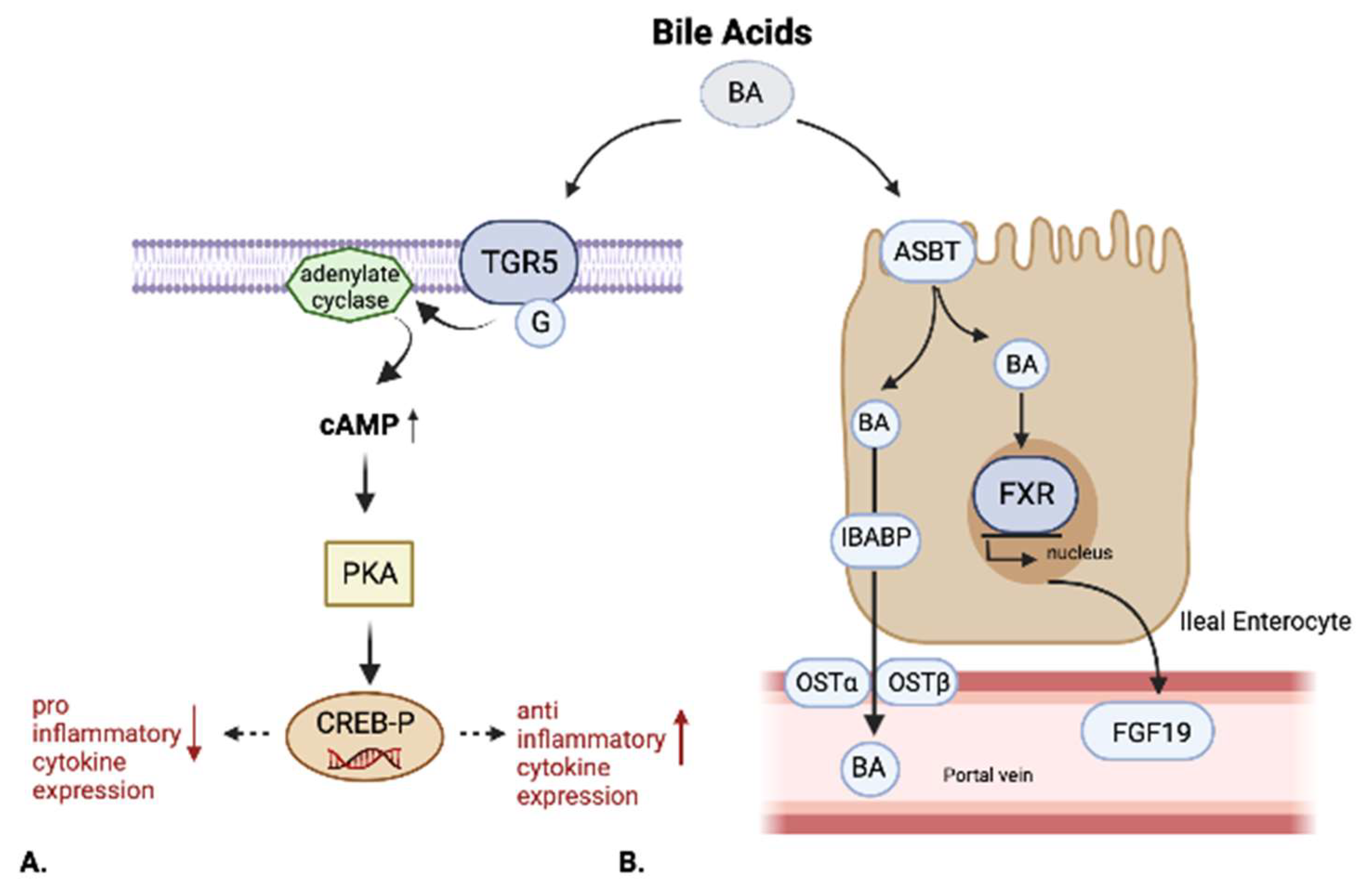 Nutrients 14 02664 g002 550