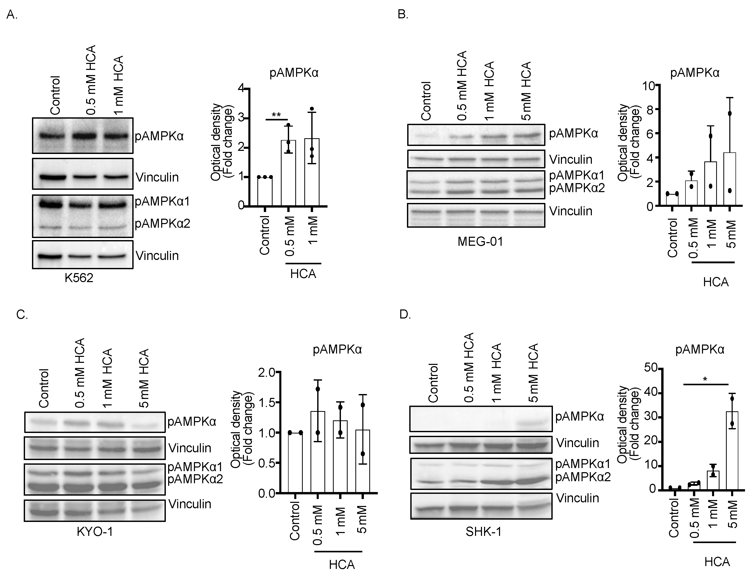 Nutrients 14 02669 g001