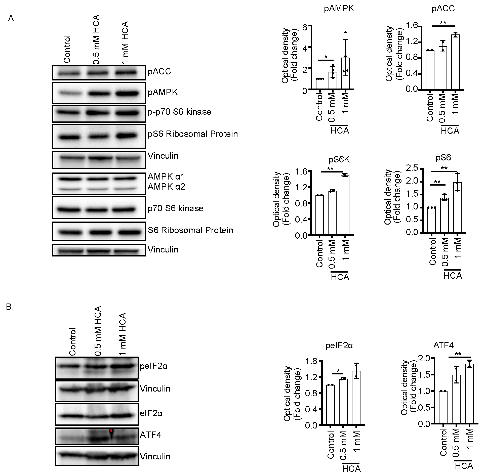 Nutrients 14 02669 g003