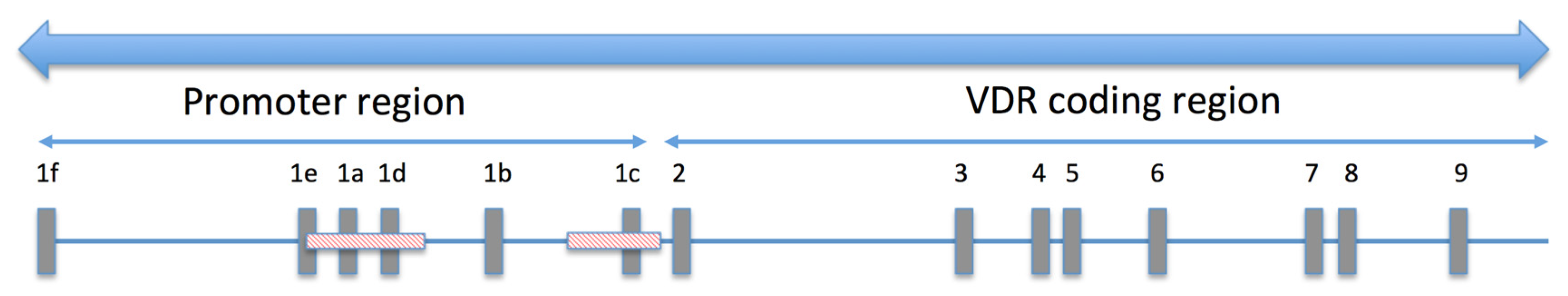 Nutrients 14 02673 g001 Nutrients 14 02673 g001