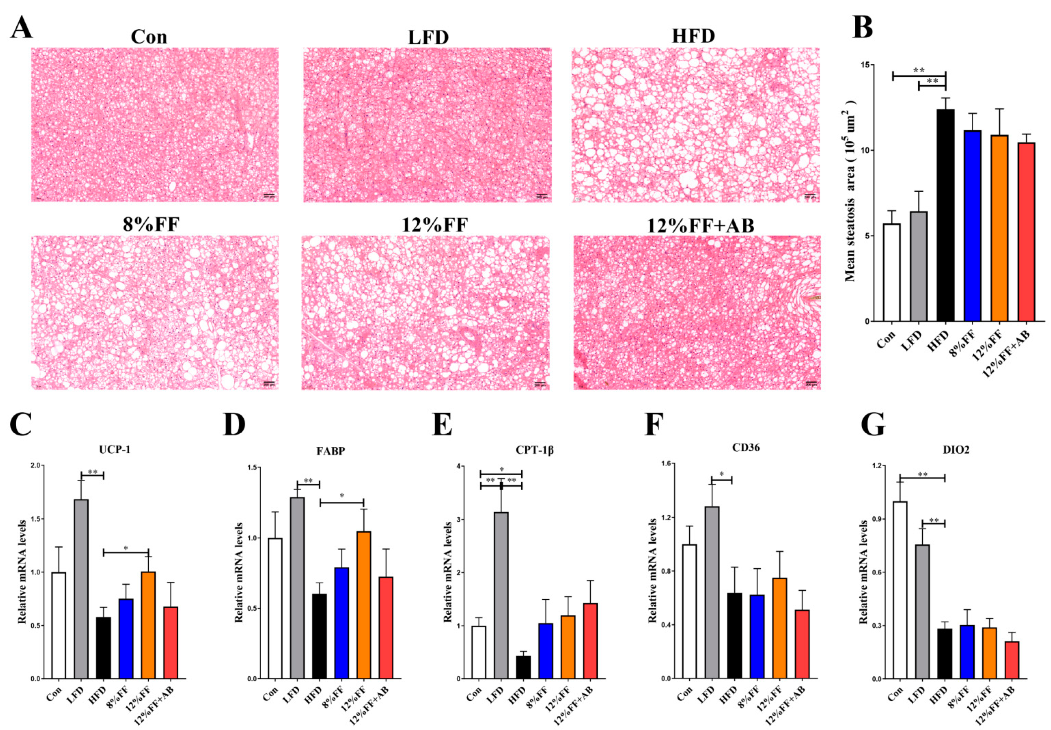 Nutrients 14 02676 g004