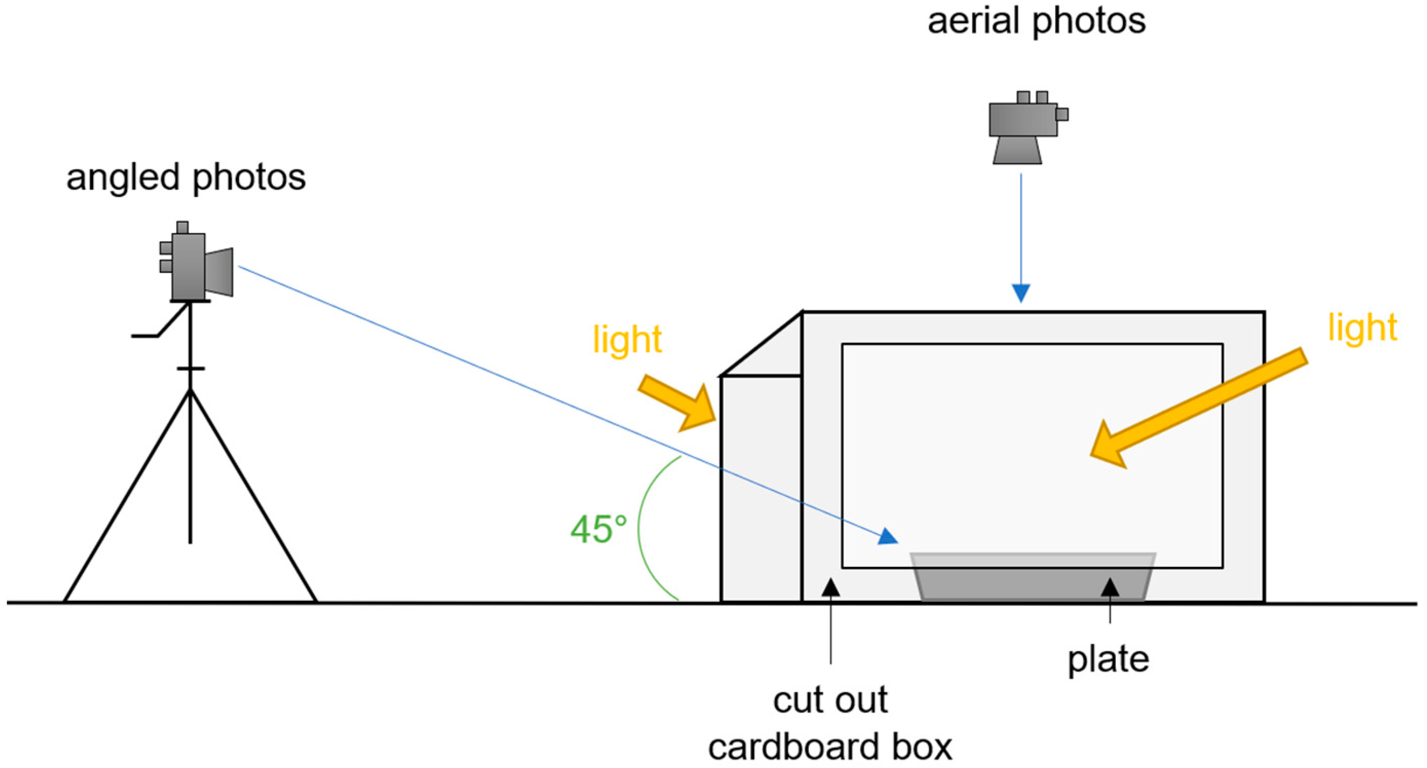 Nutrients 14 02681 g001