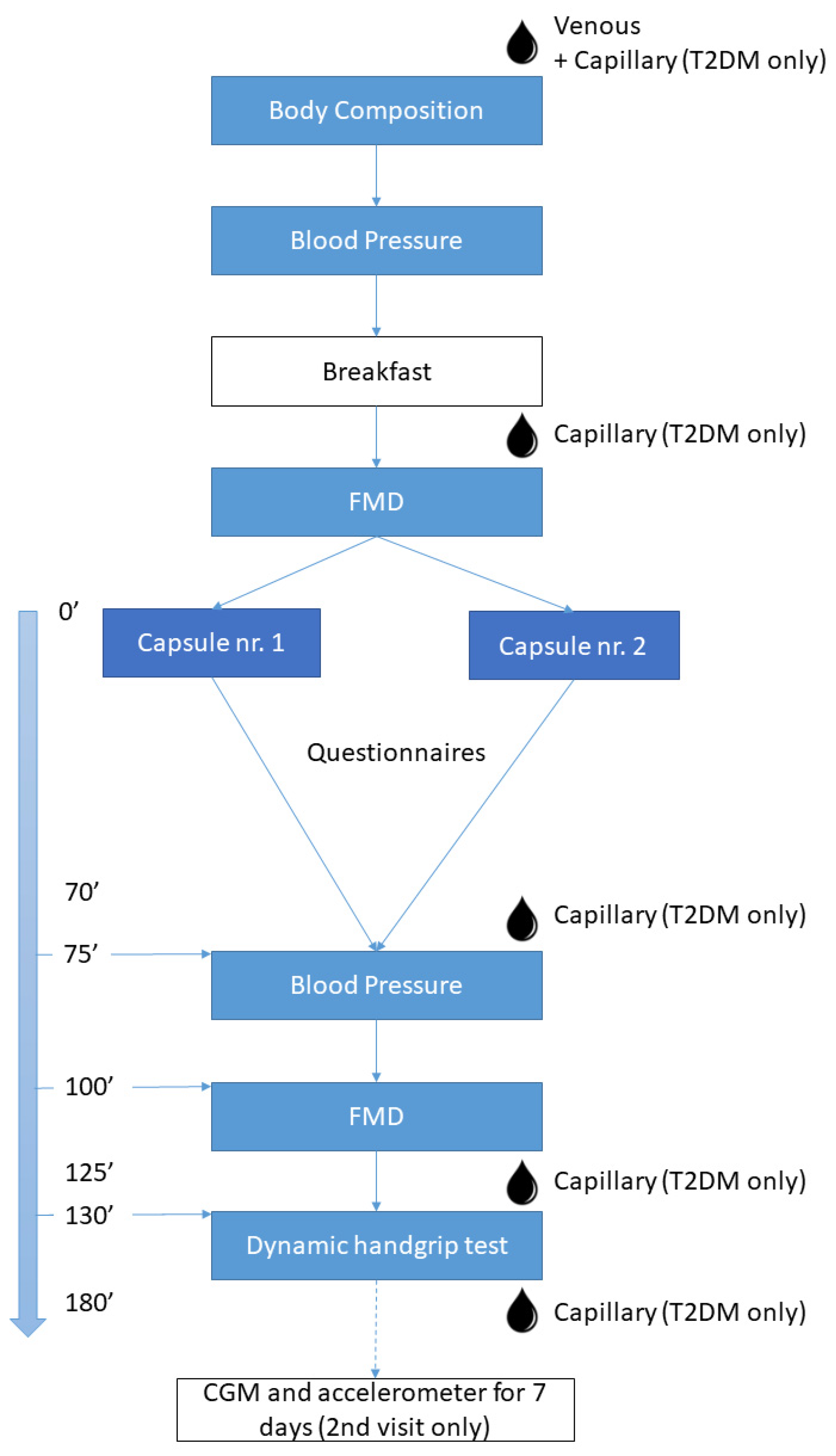 Nutrients 14 02692 g001 550