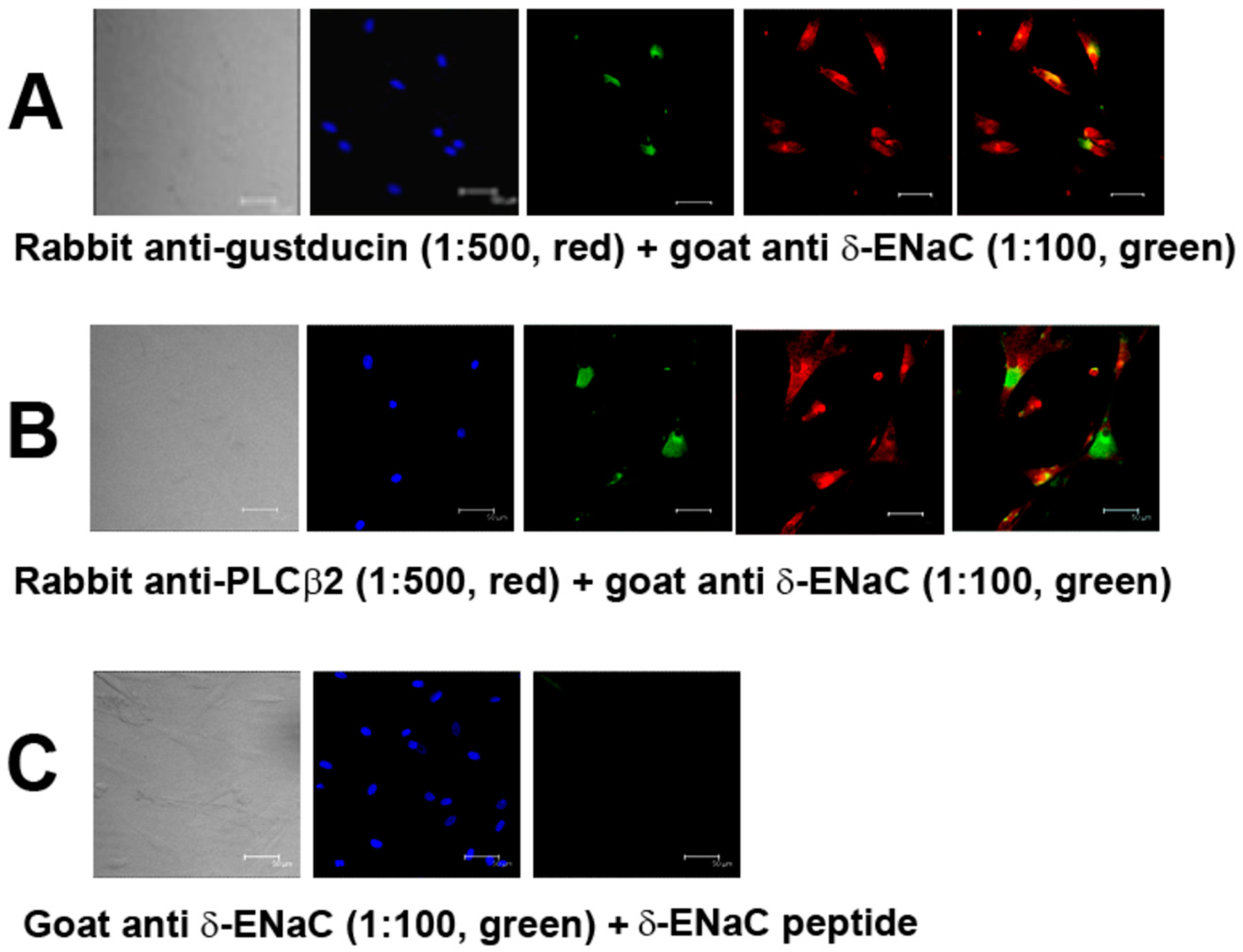Nutrients 14 02703 g001