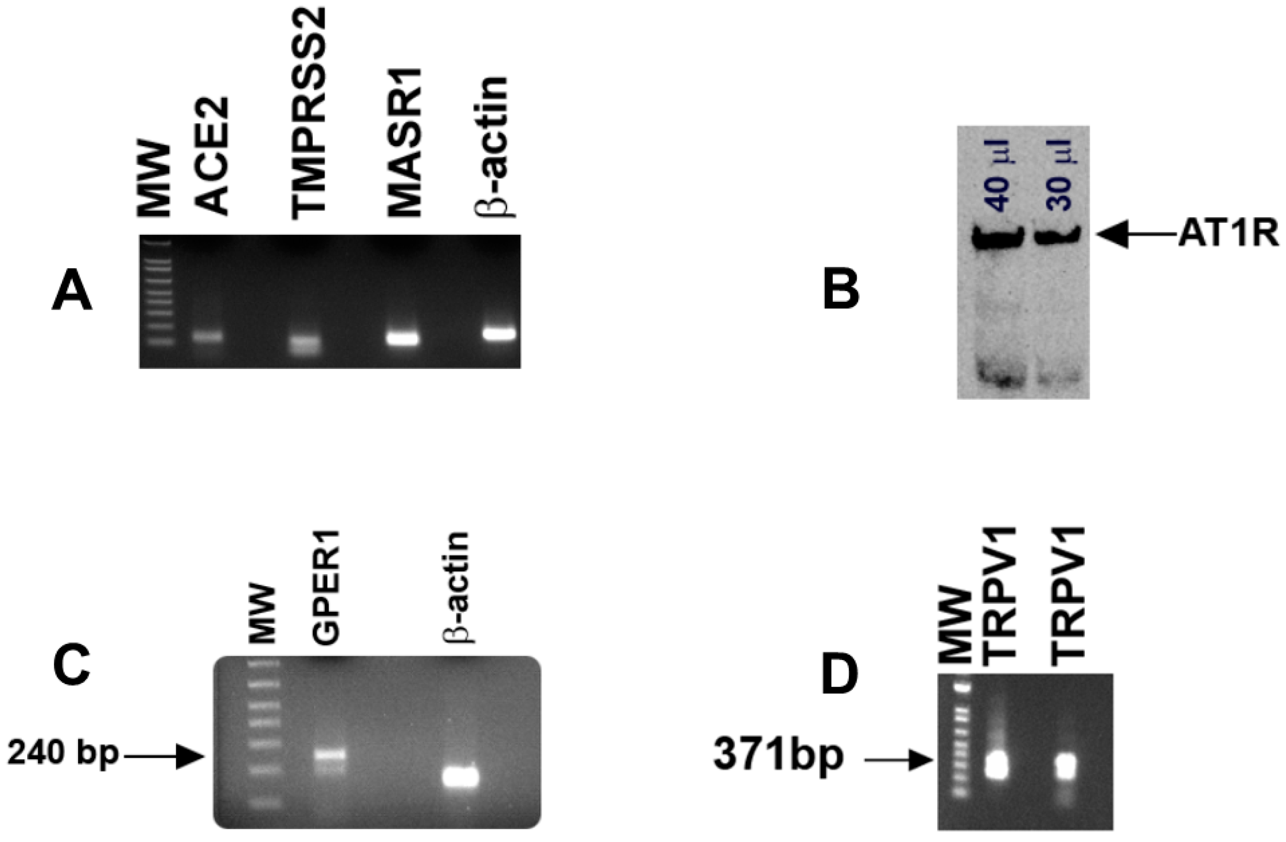 Nutrients 14 02703 g002