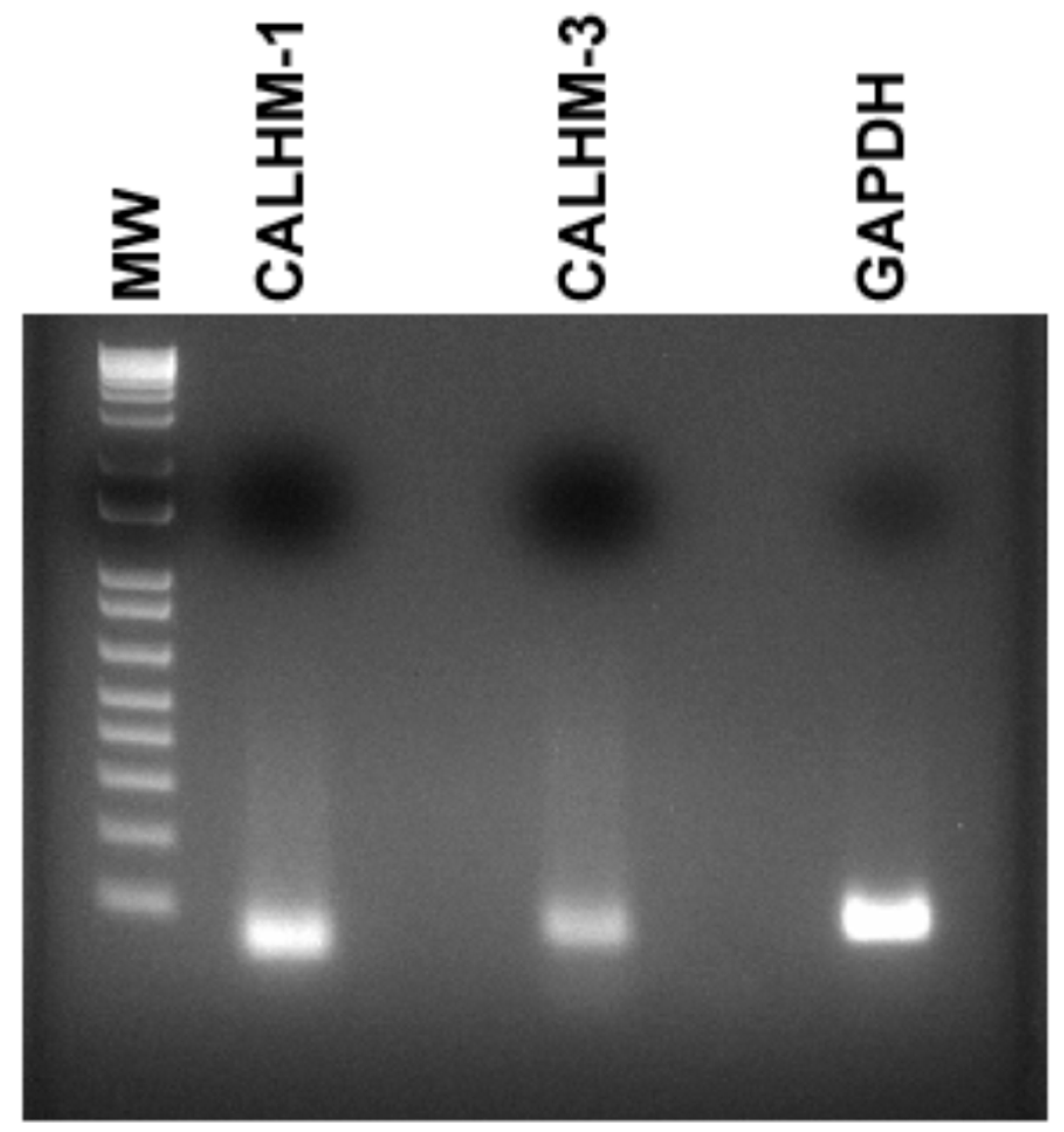Nutrients 14 02703 g003