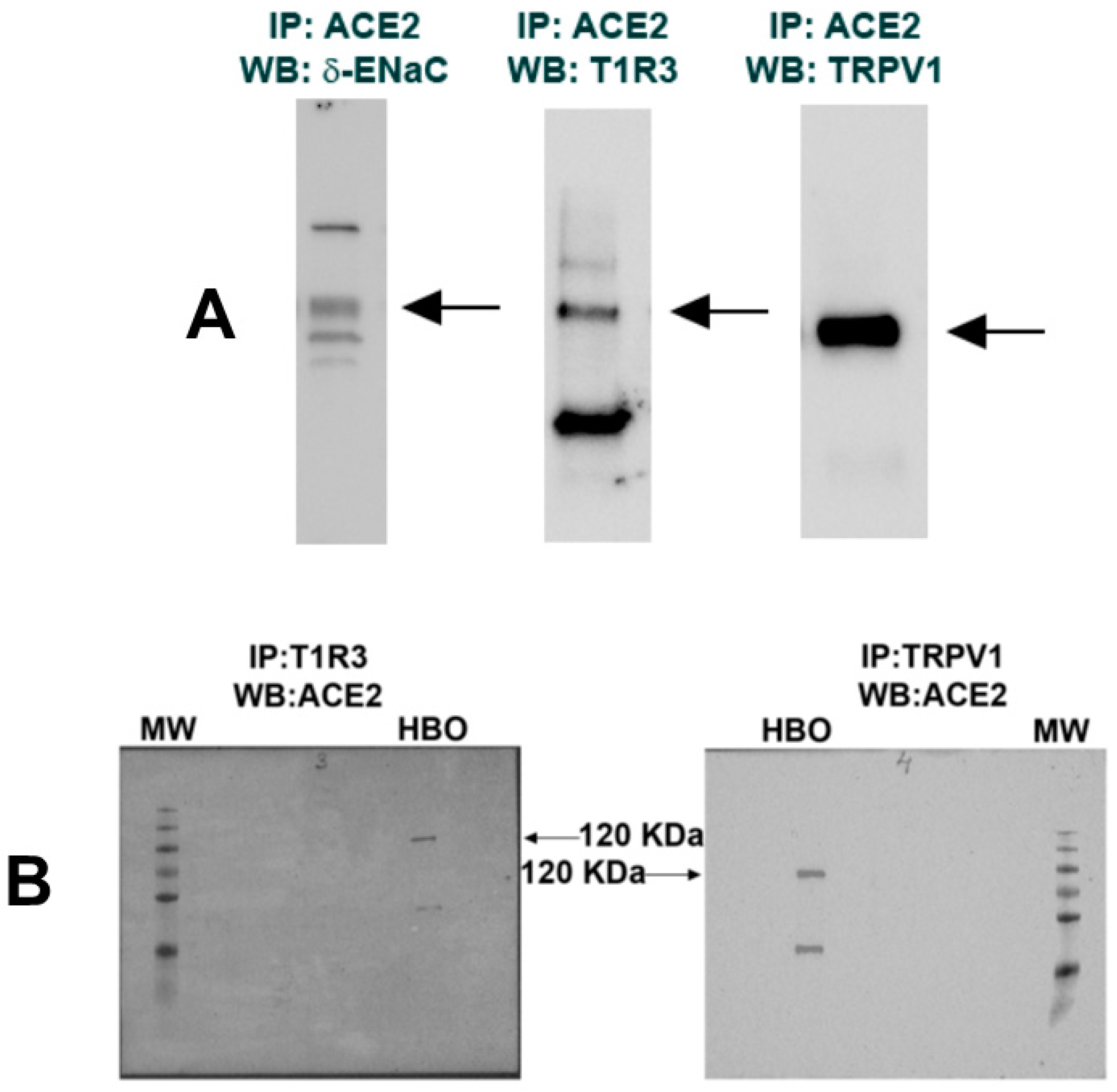 Nutrients 14 02703 g004
