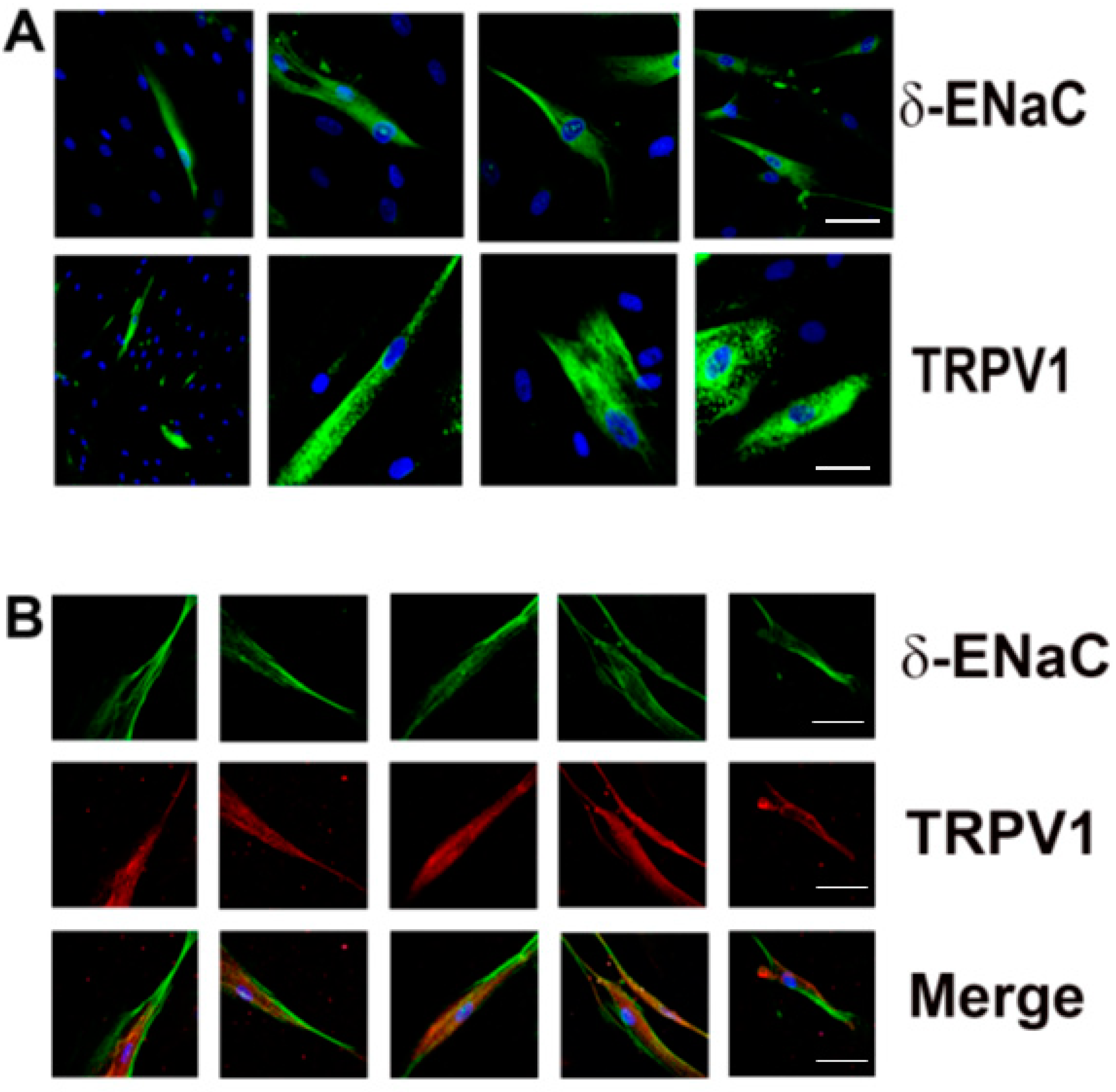 Nutrients 14 02703 g005