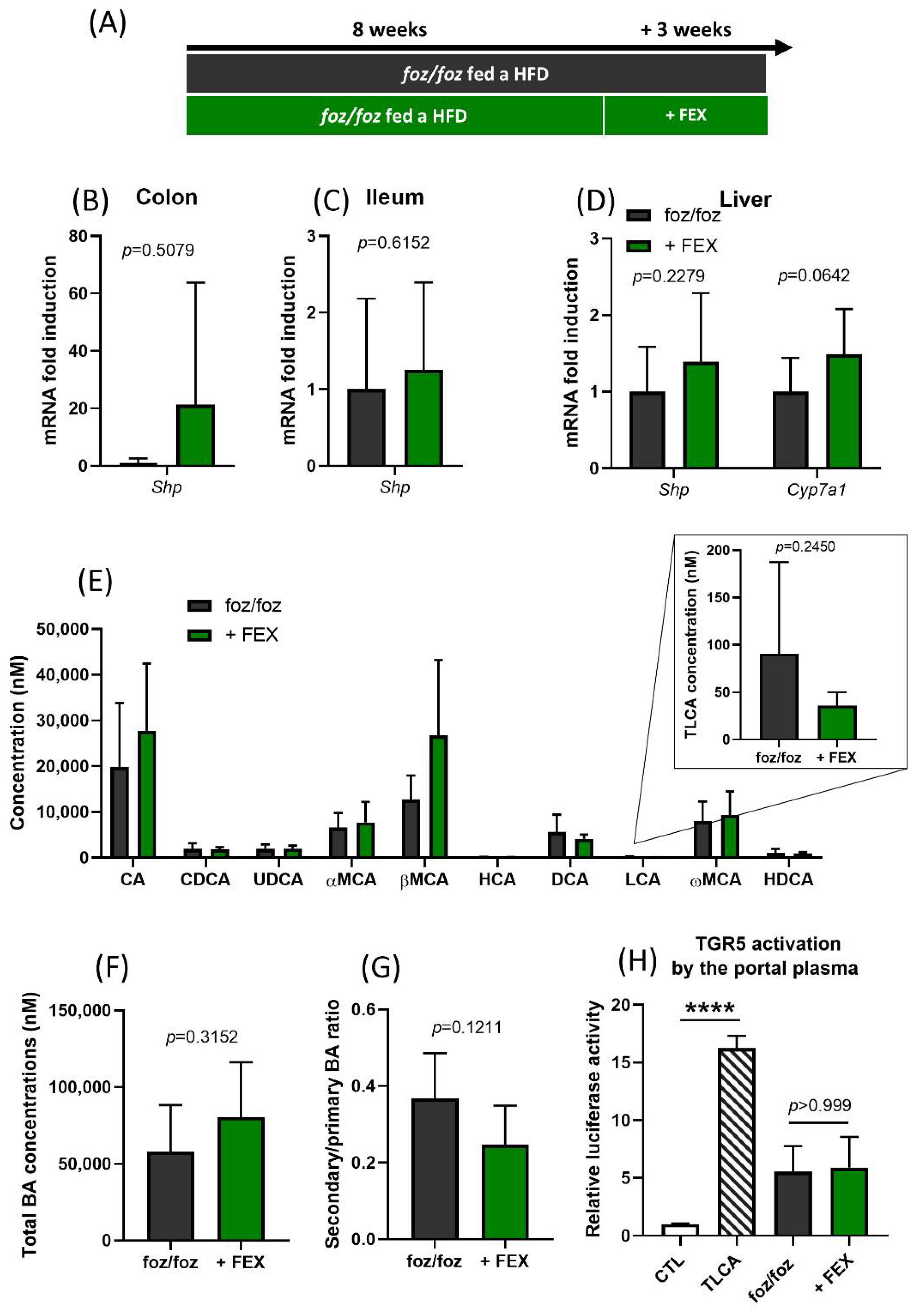 Nutrients 14 02707 g001
