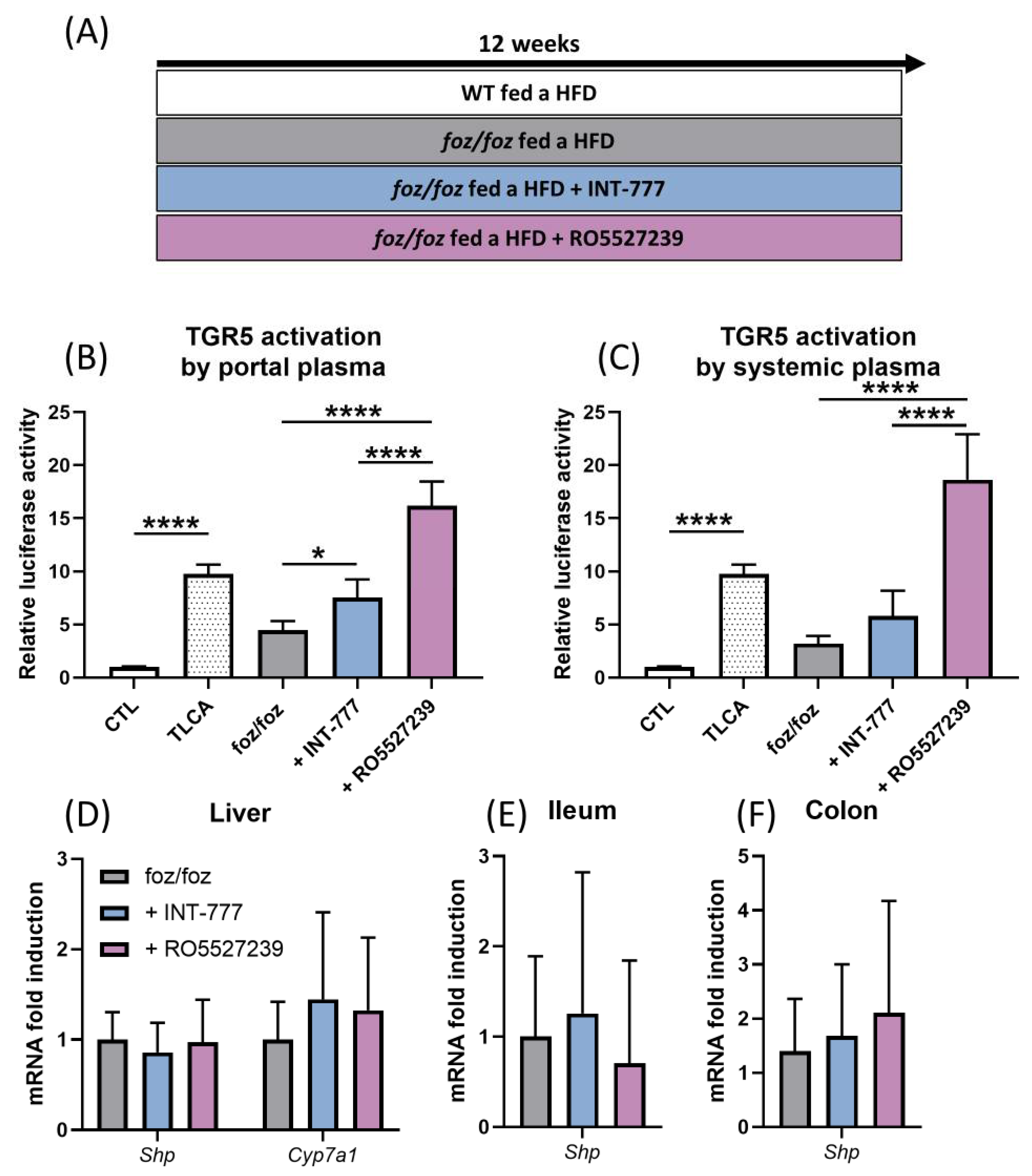 Nutrients 14 02707 g004