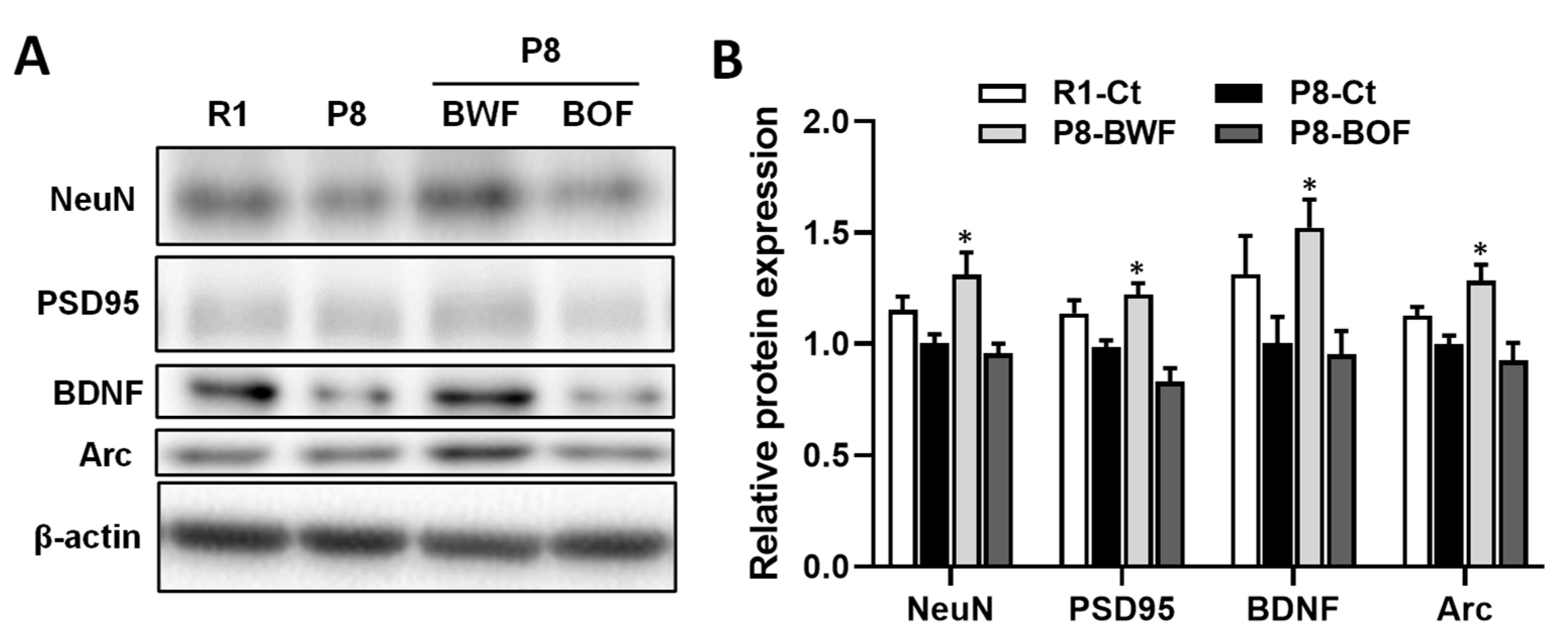 Nutrients 14 02708 g003