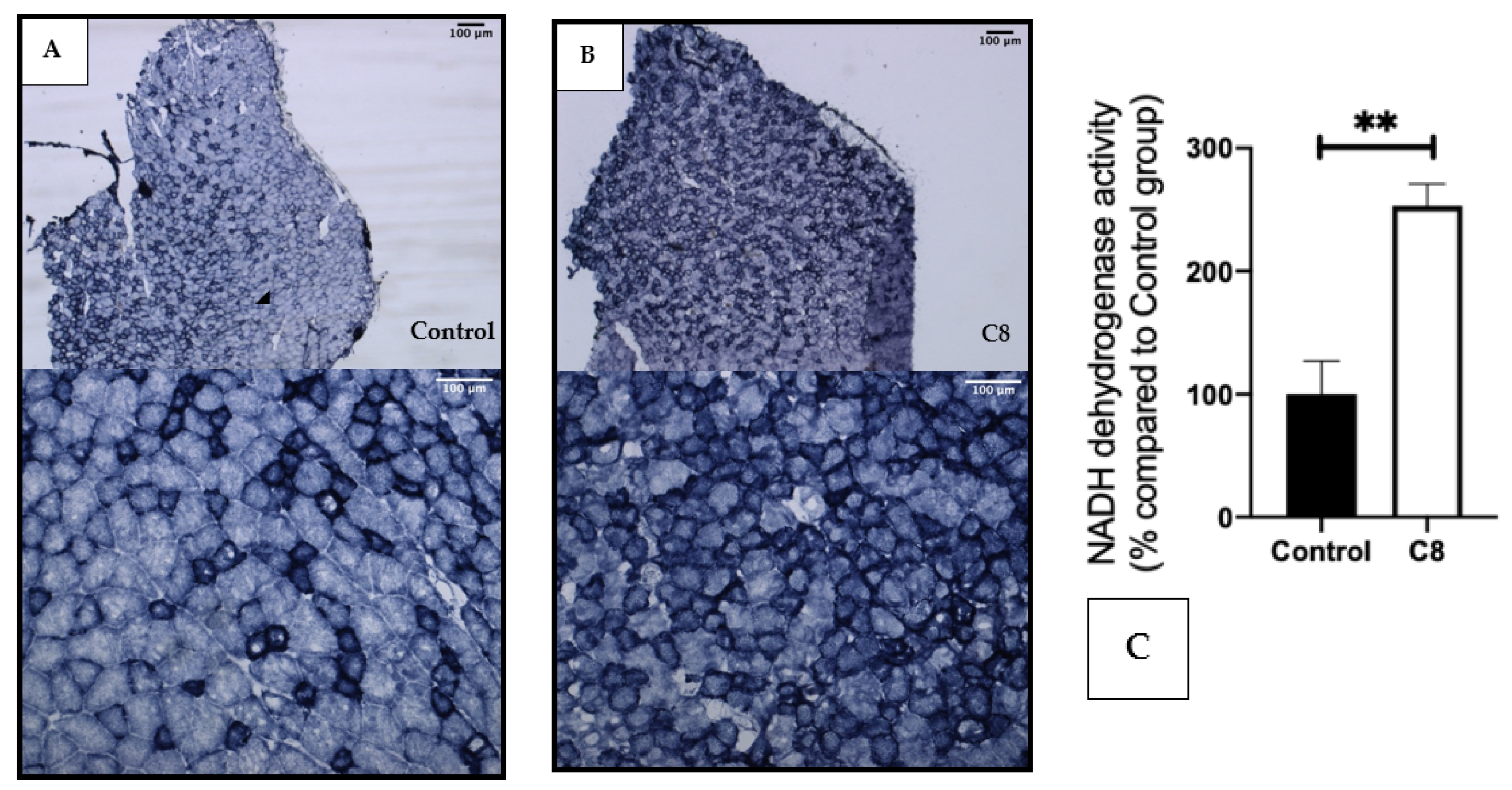 Nutrients 14 02721 g004 Nutrients 14 02721 g004