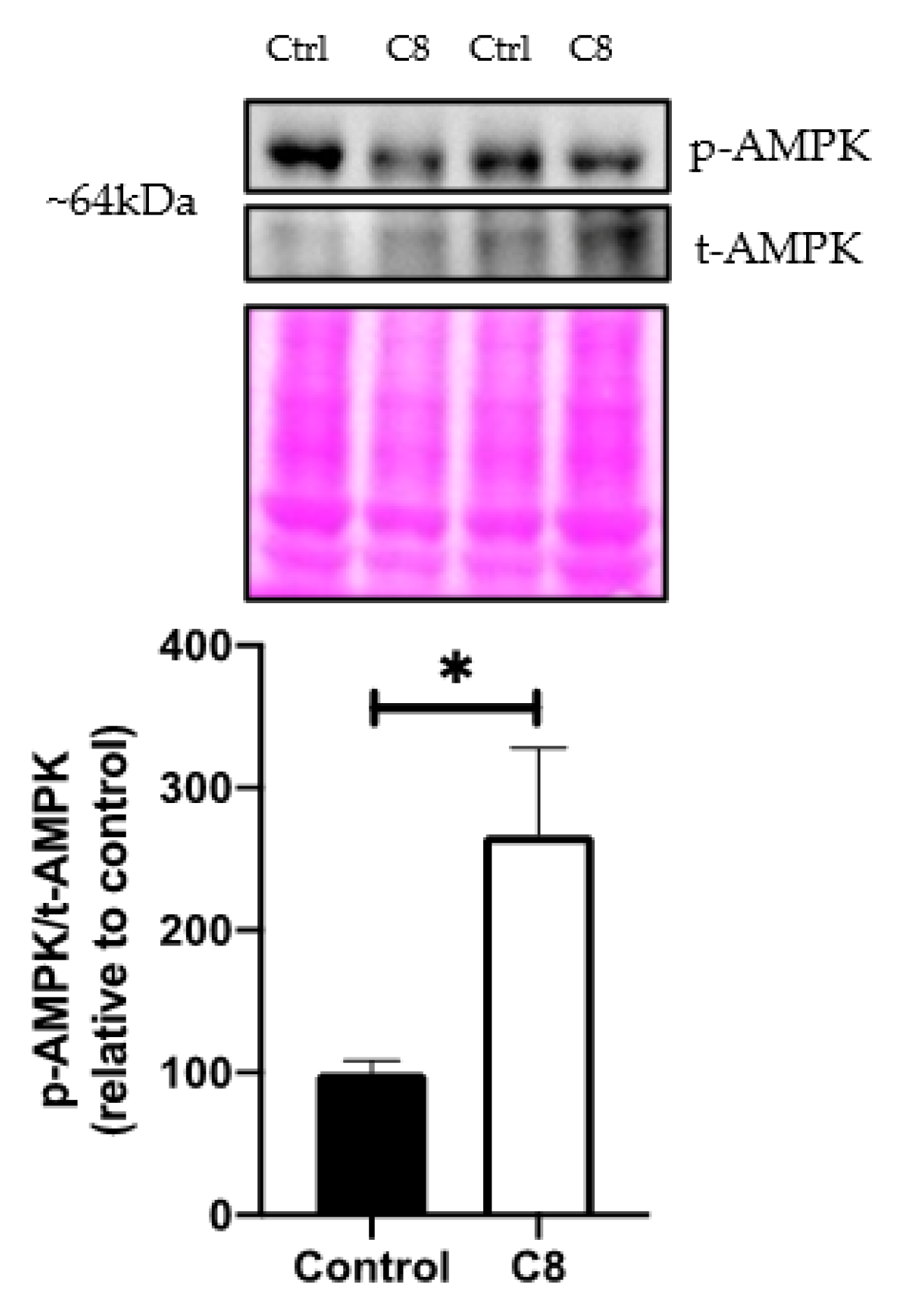 Nutrients 14 02721 g005 Nutrients 14 02721 g005