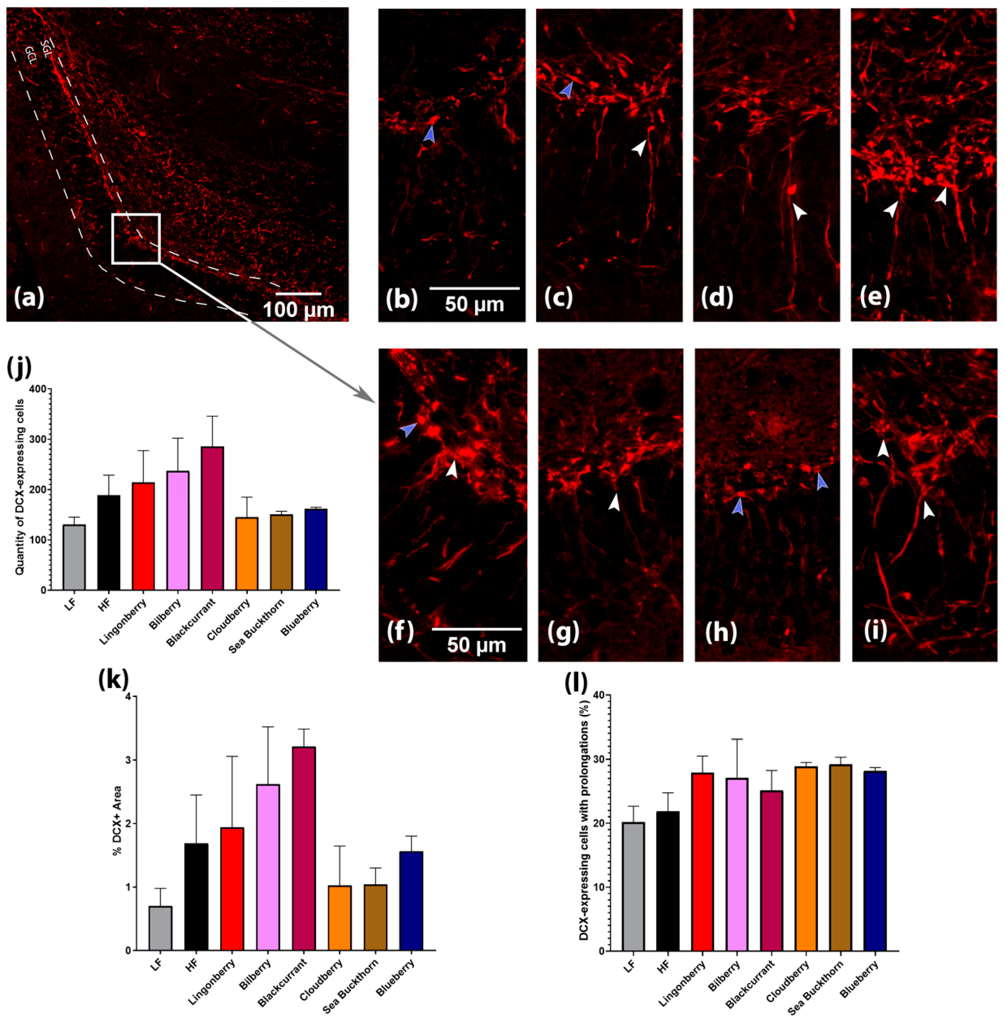 Nutrients 14 02734 g004 550