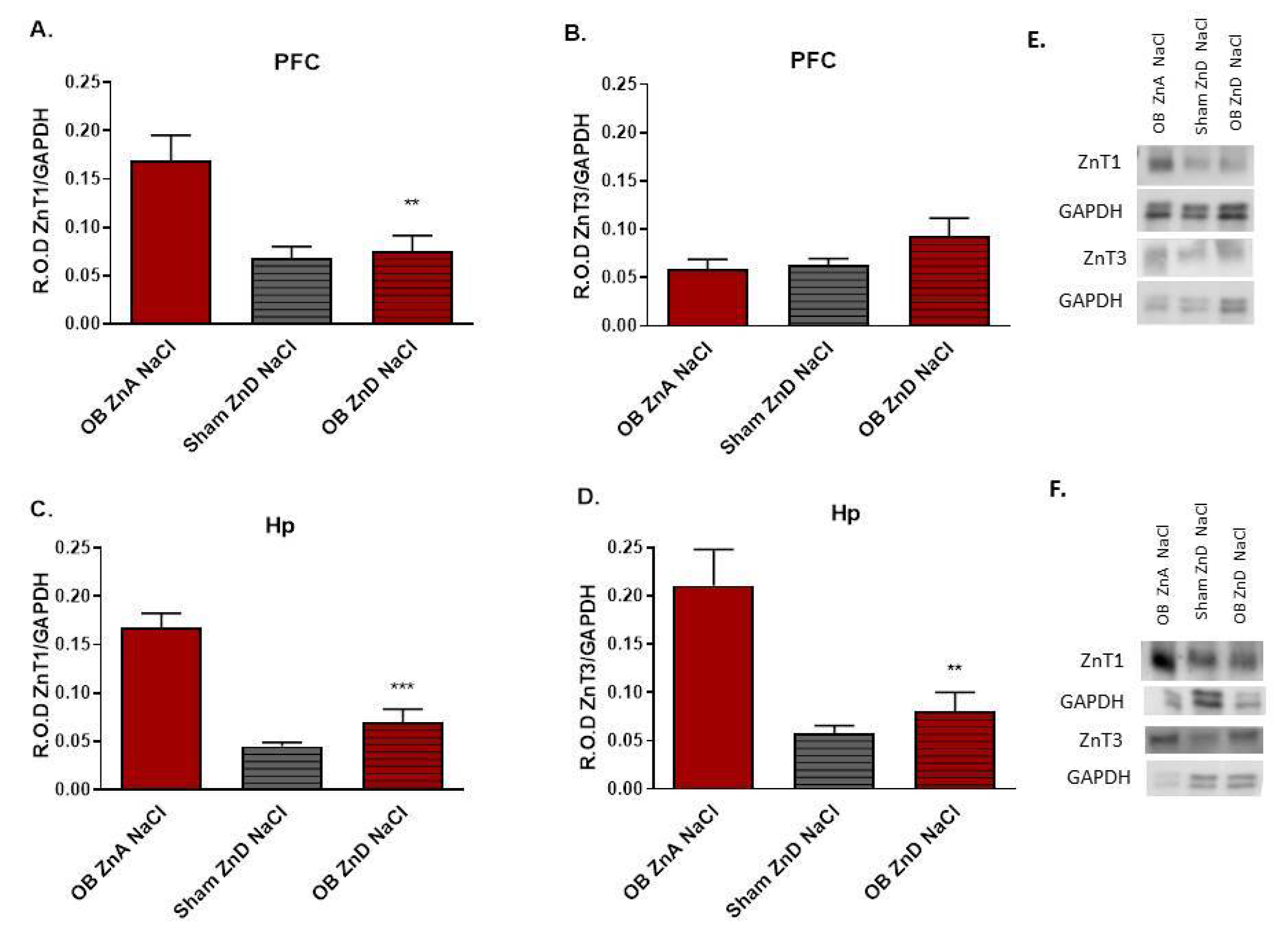 Nutrients 14 02746 g005