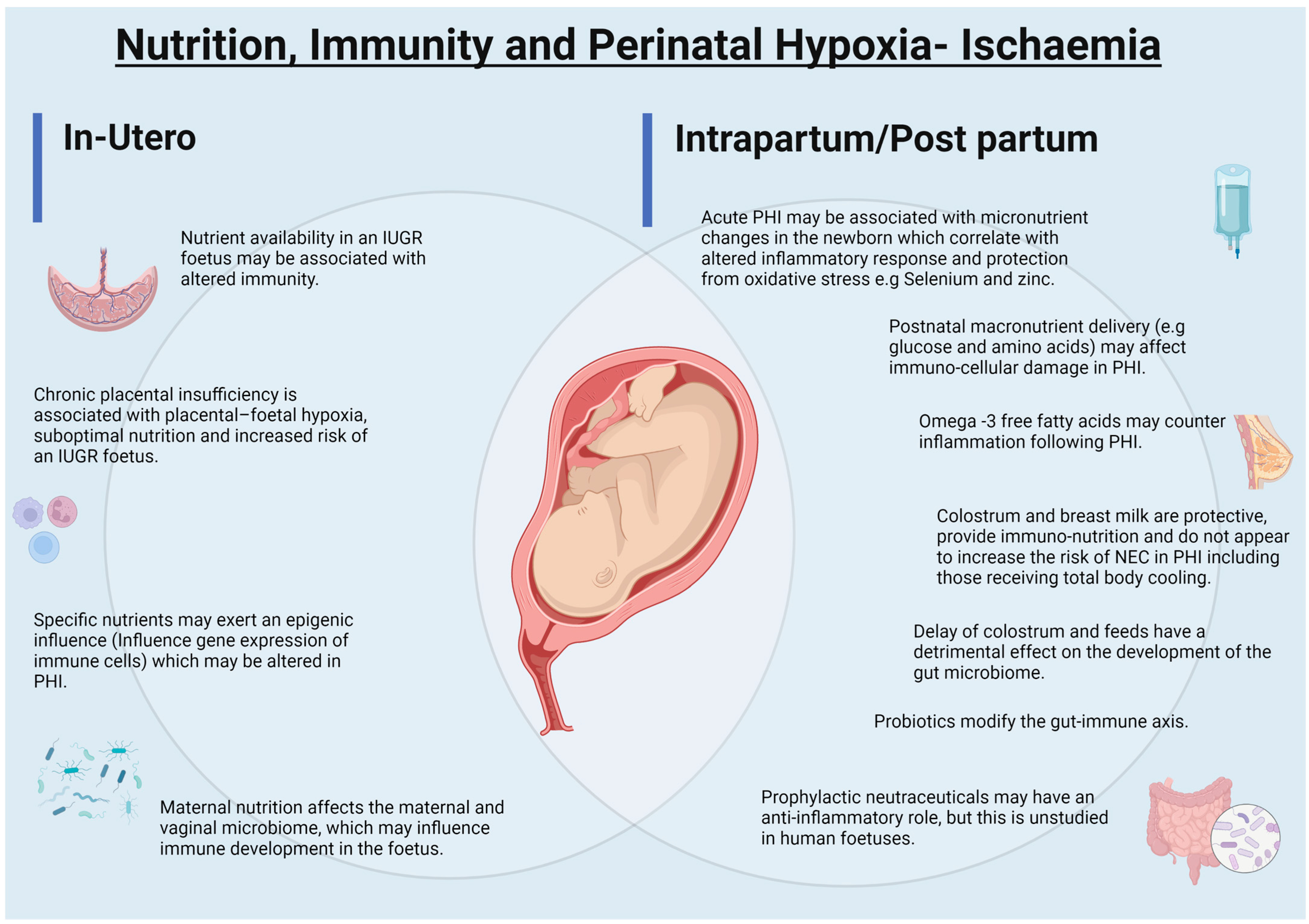 Nutrients 14 02747 g002