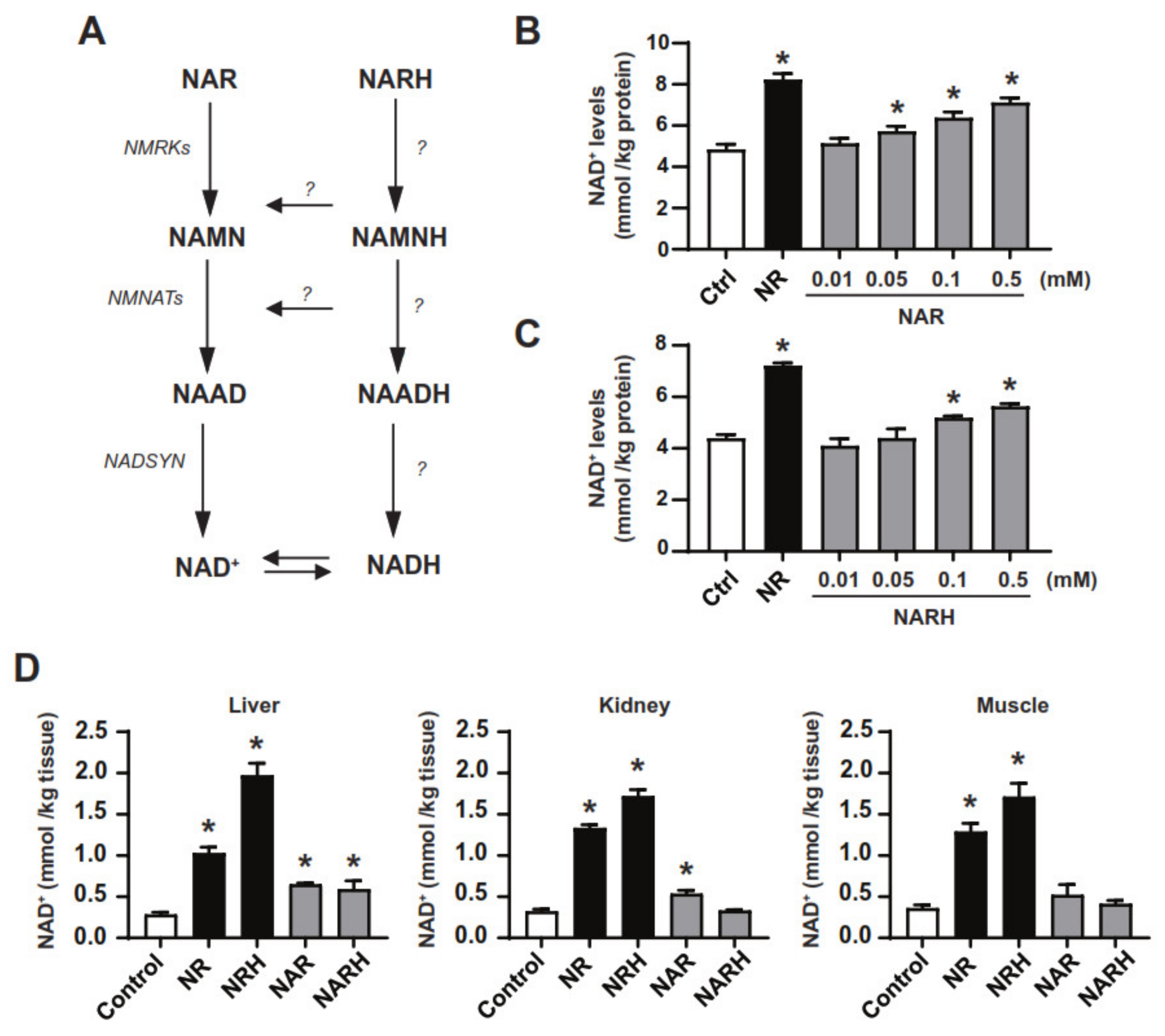Nutrients 14 02752 g002 550
