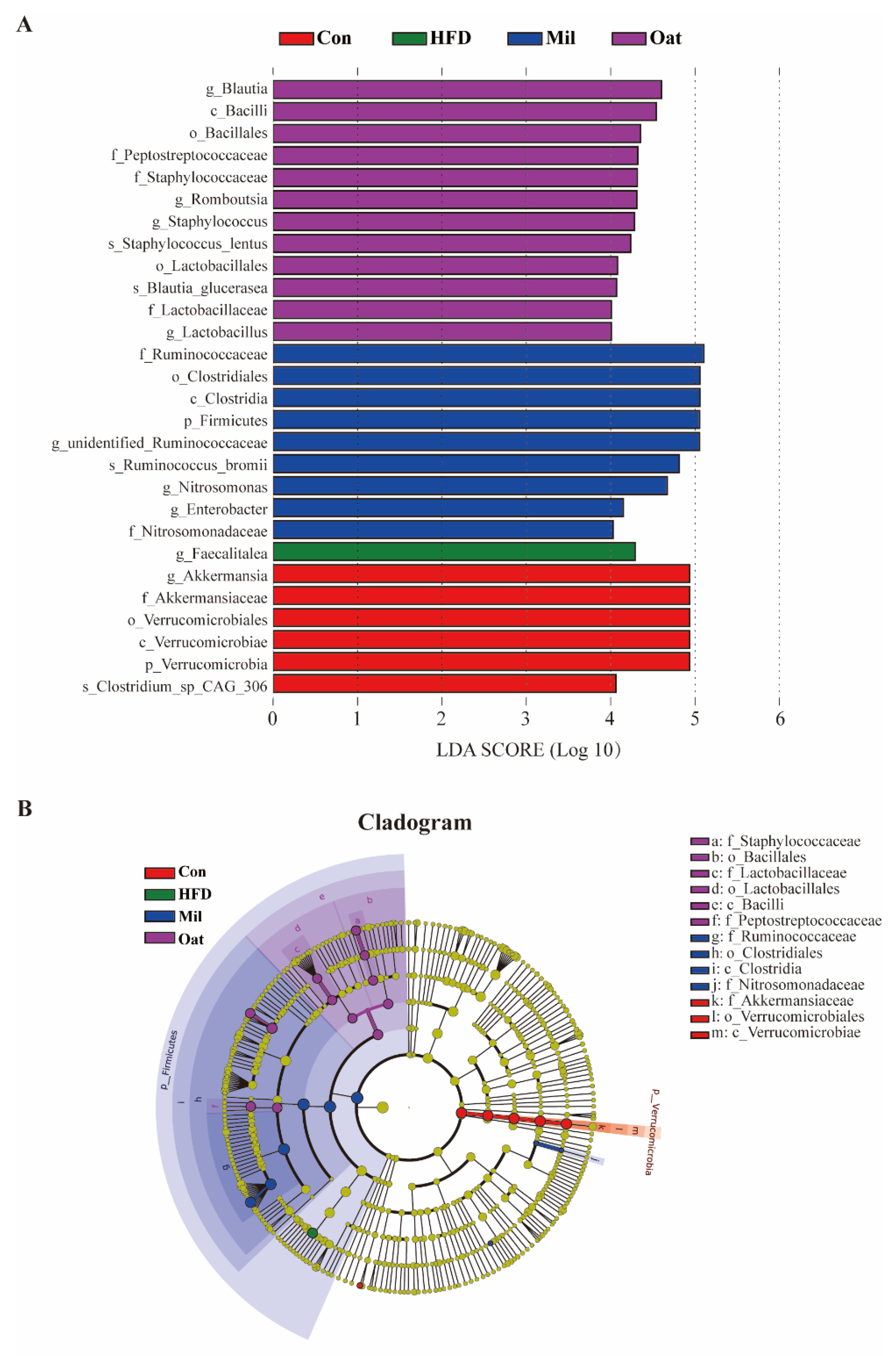 Nutrients 14 02760 g007