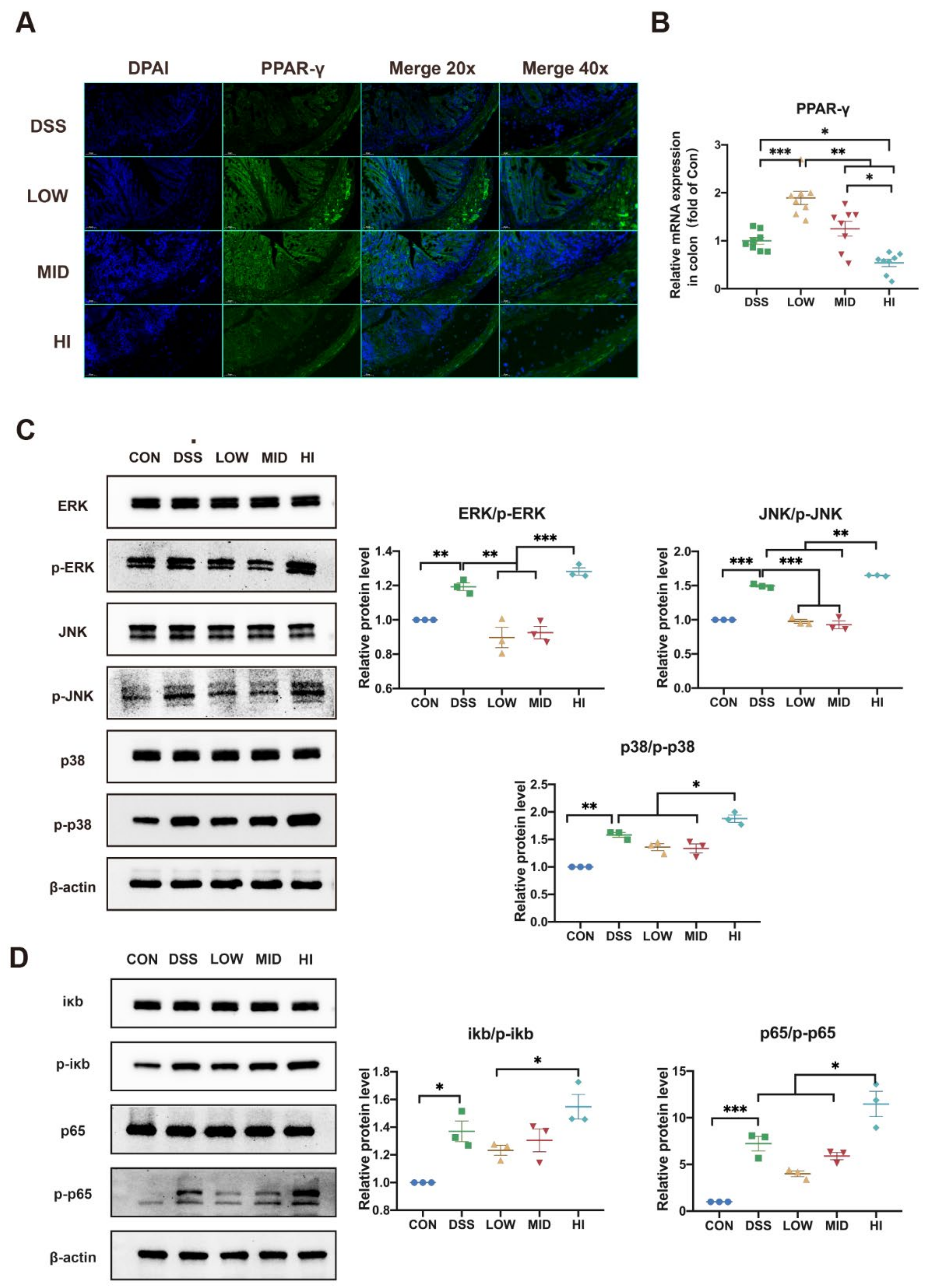 Nutrients 14 02765 g006 550