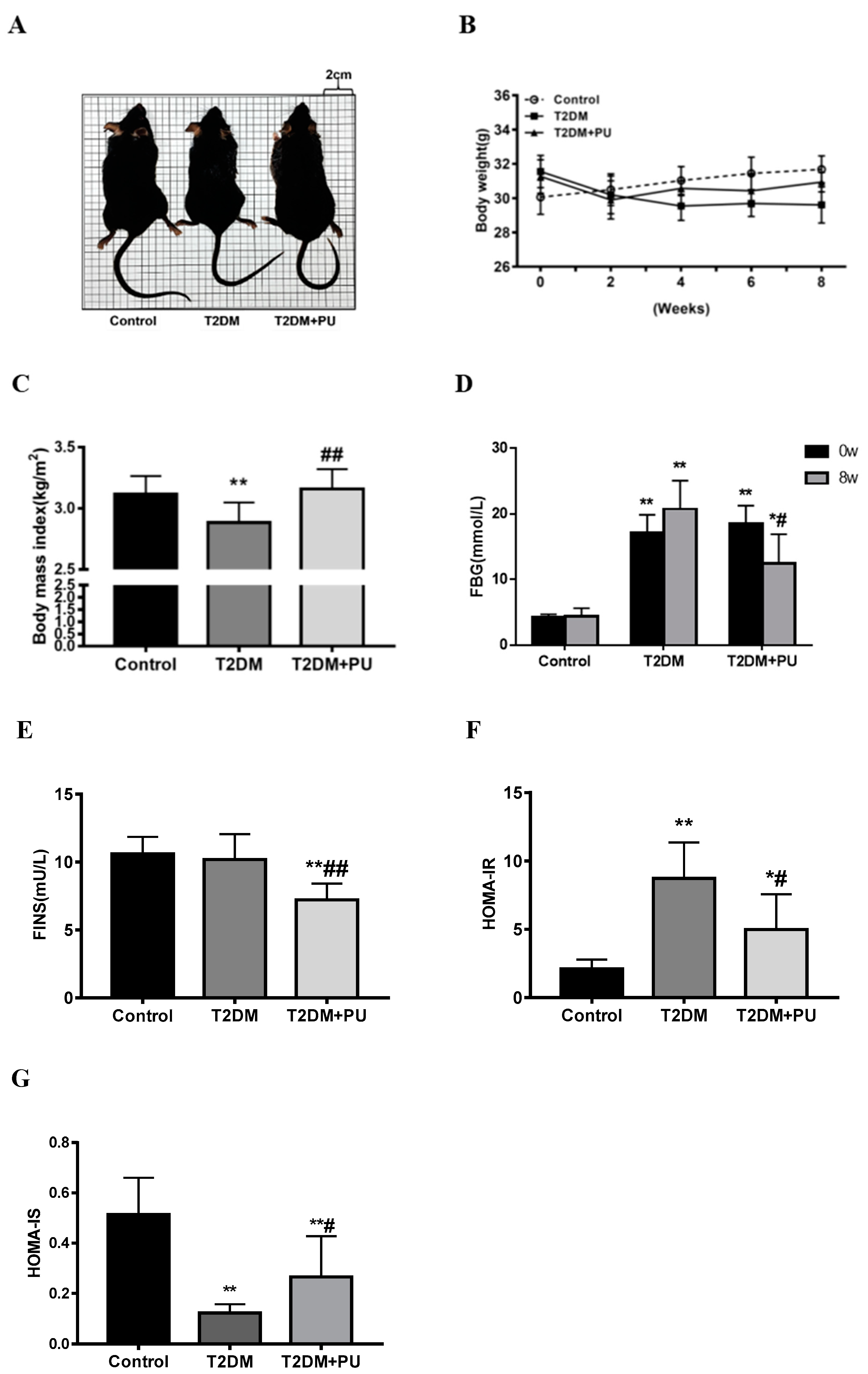 Nutrients 14 02782 g001 550
