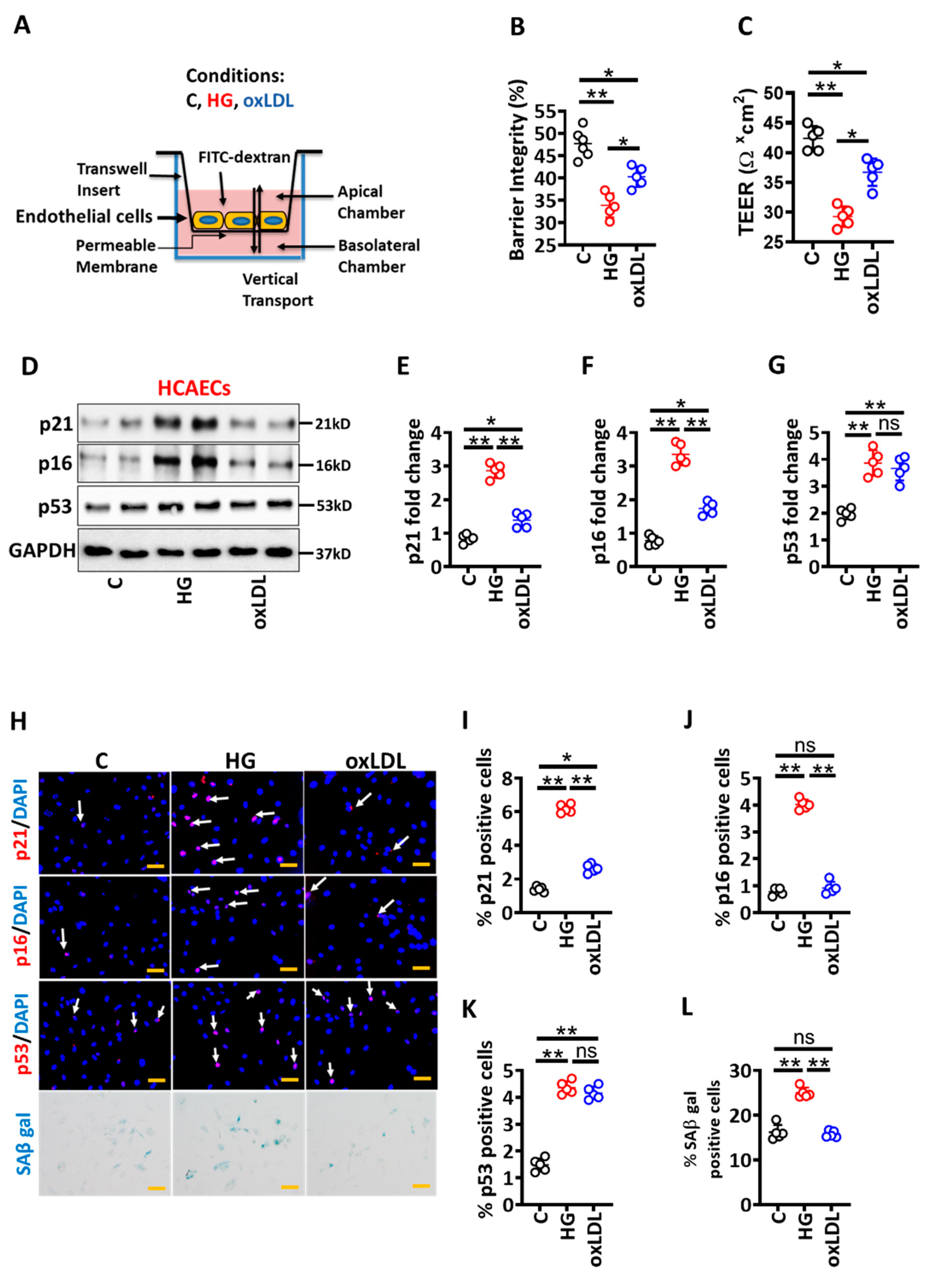 Nutrients 14 02786 g001