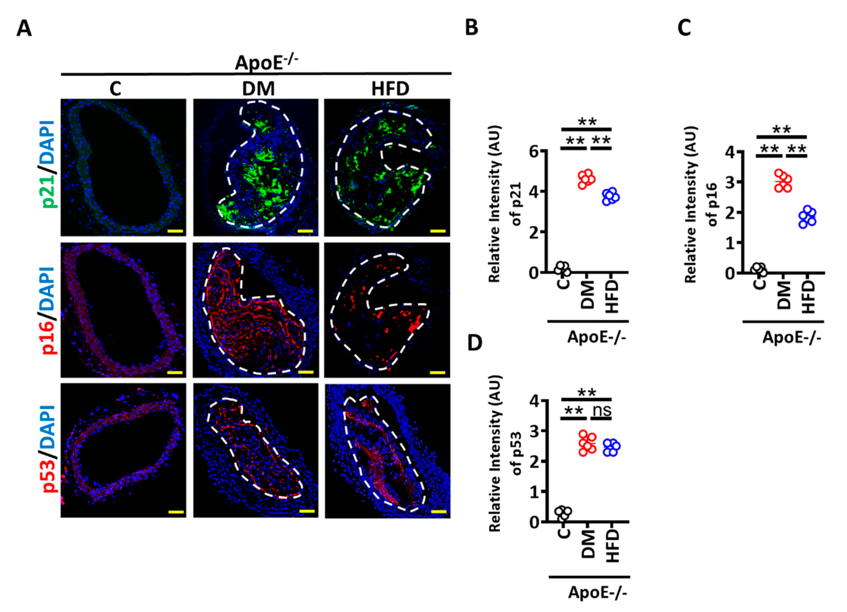Nutrients 14 02786 g002