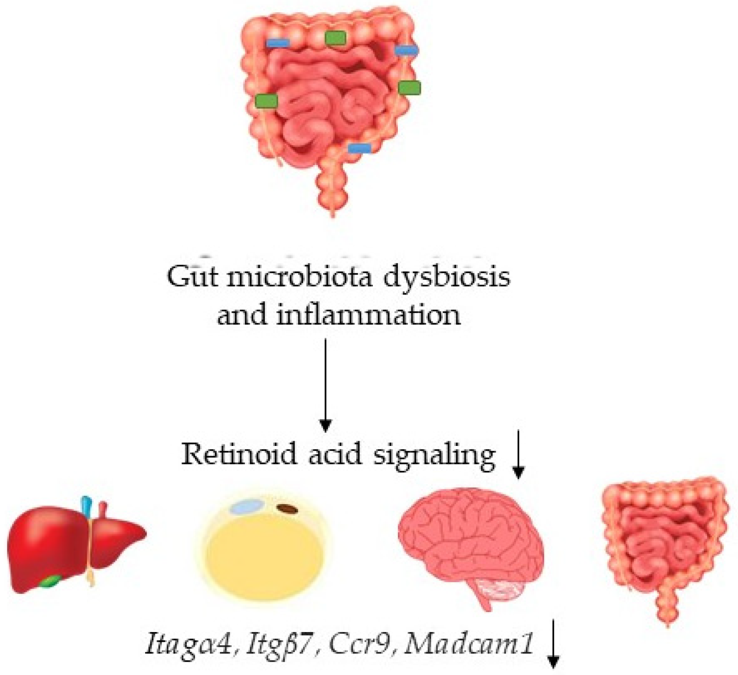 Nutrients 14 02788 g008