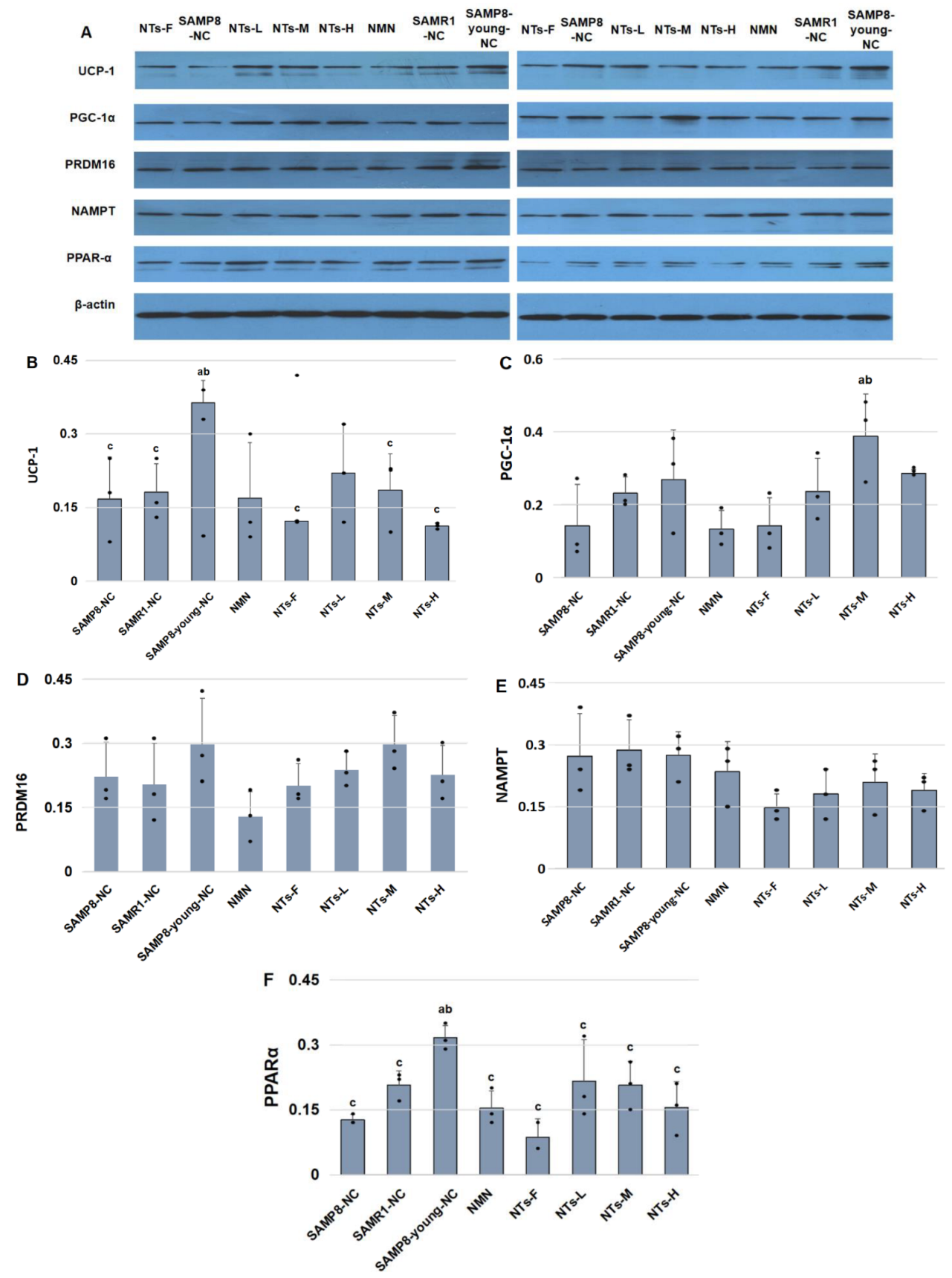 Nutrients 14 02796 g003