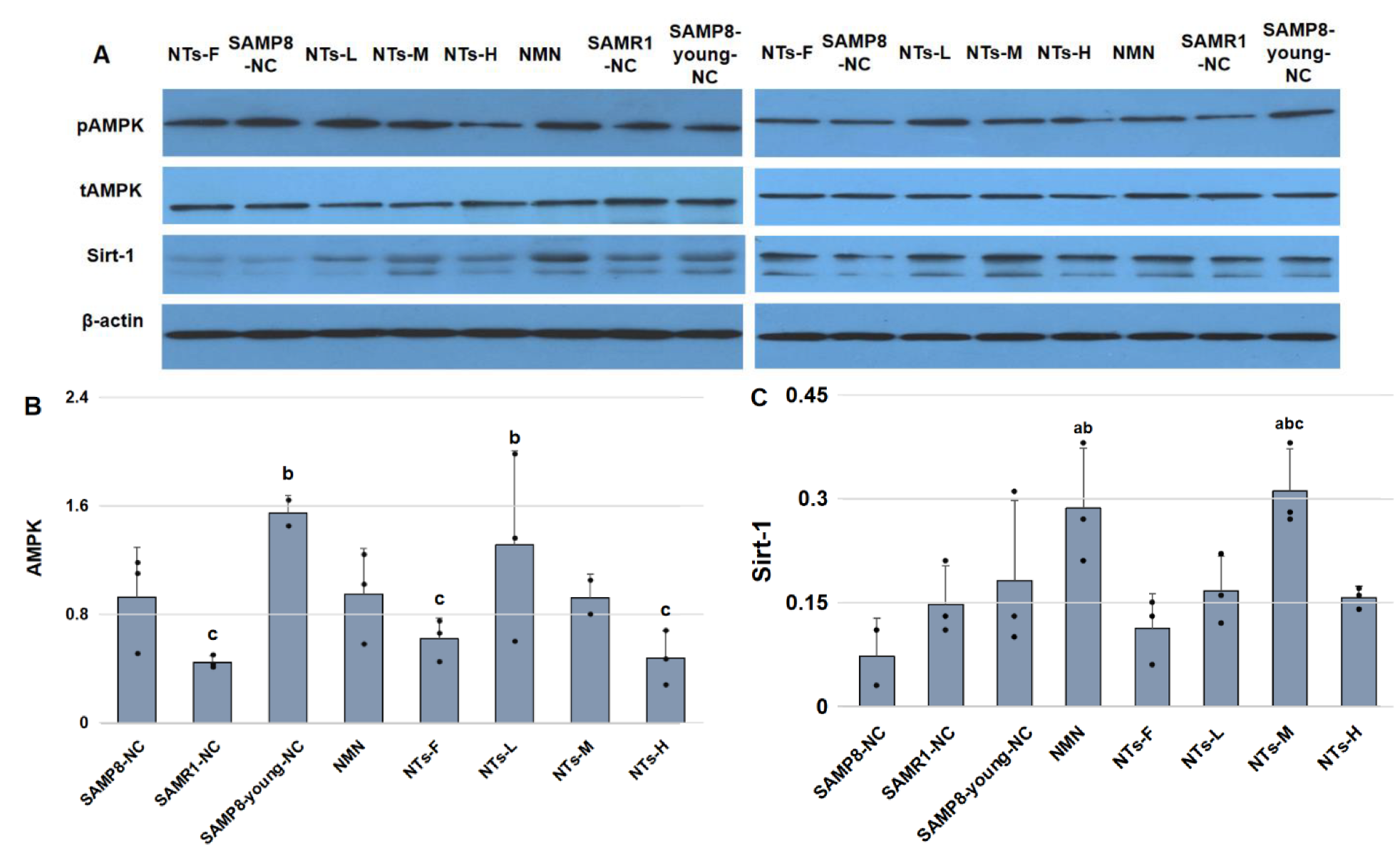 Nutrients 14 02796 g004
